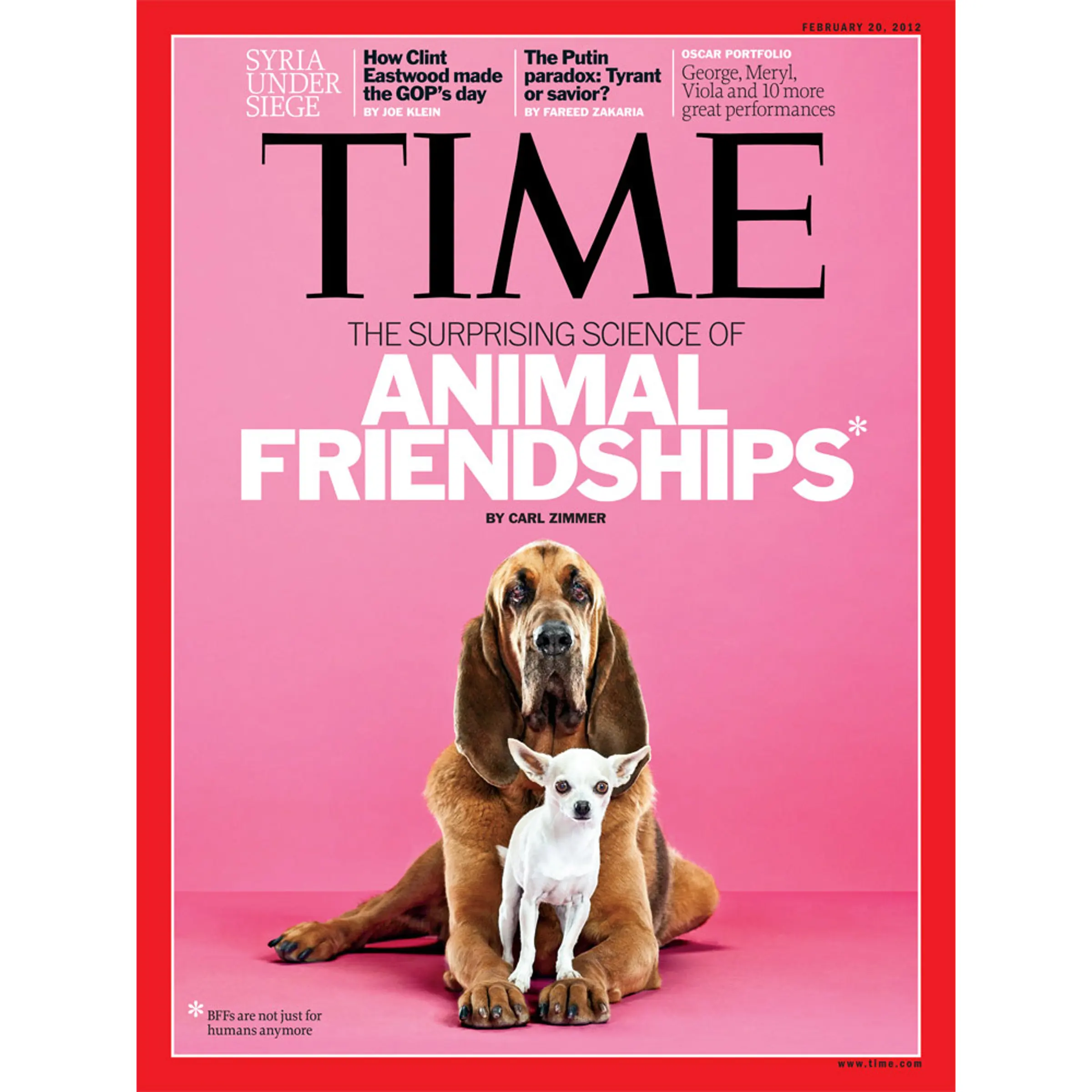 This gallery showcases possible options for this week's cover of TIME.