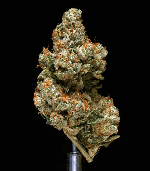 Platinum OG Kush