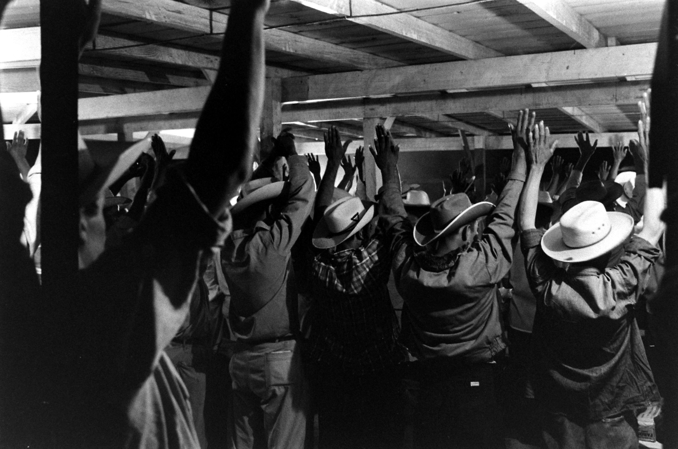 Bitter Harvest: LIFE With America's Migrant Workers, 1959