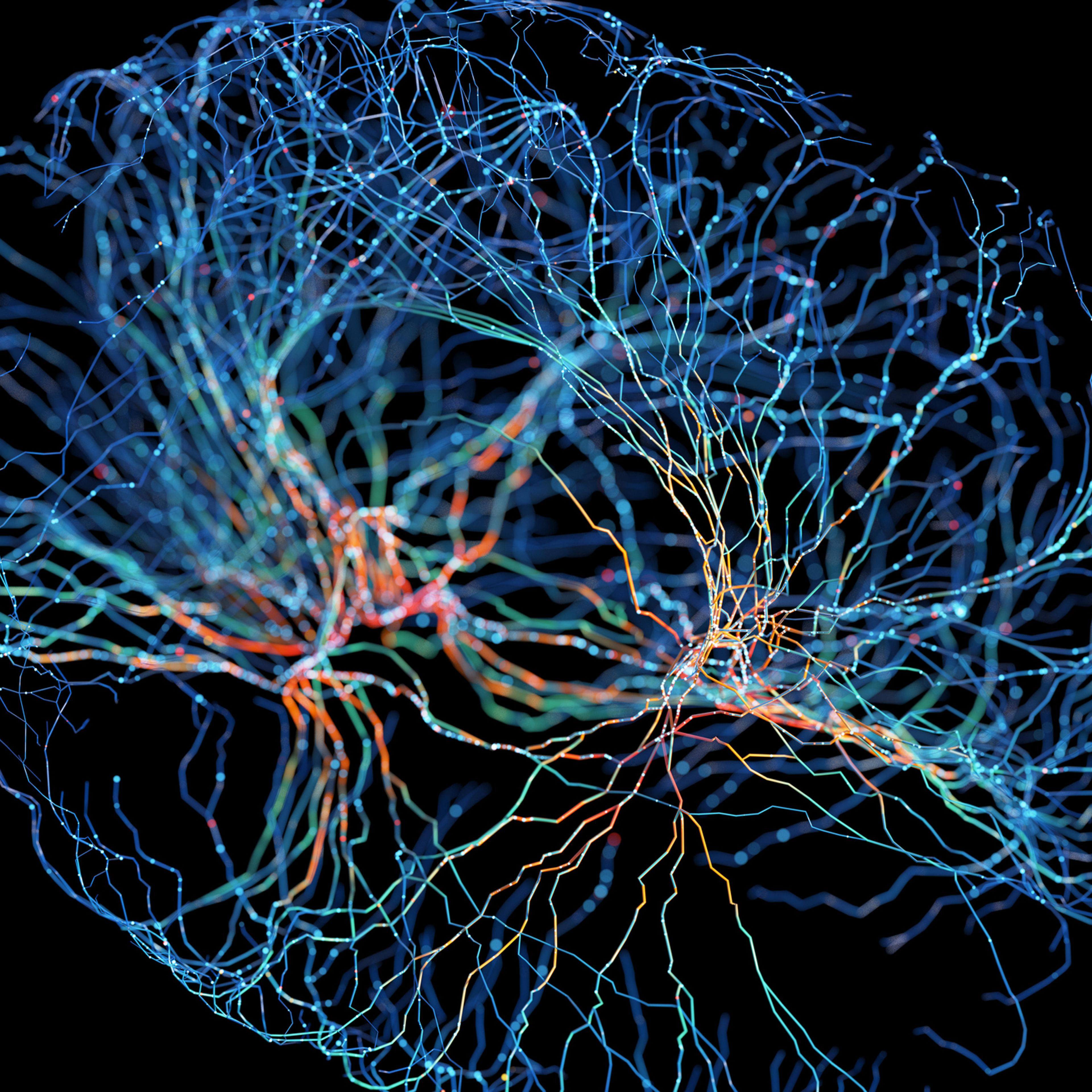 Neuron system