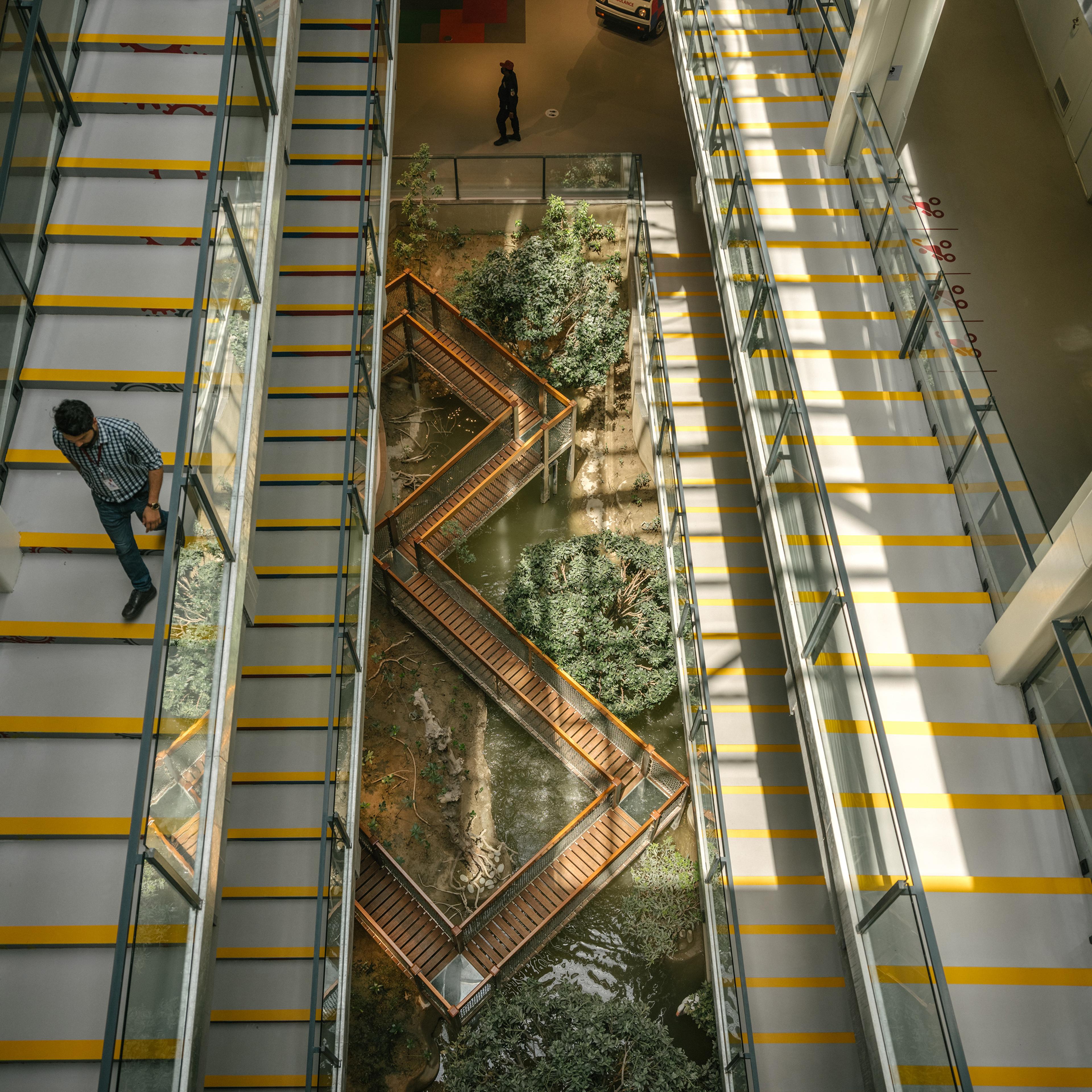The MagnifiScience Centre’s mangrove display