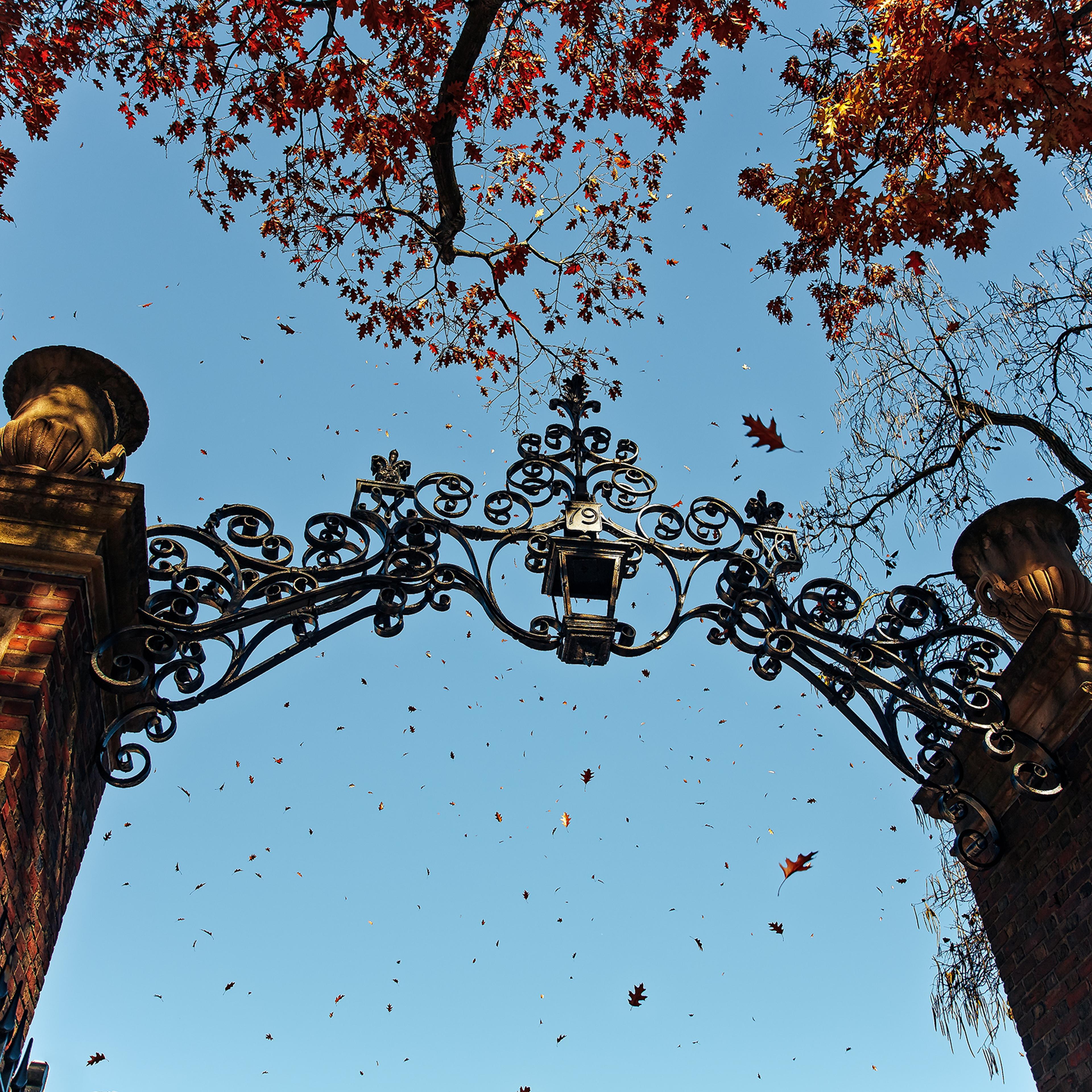 entrance to the Harvard campus