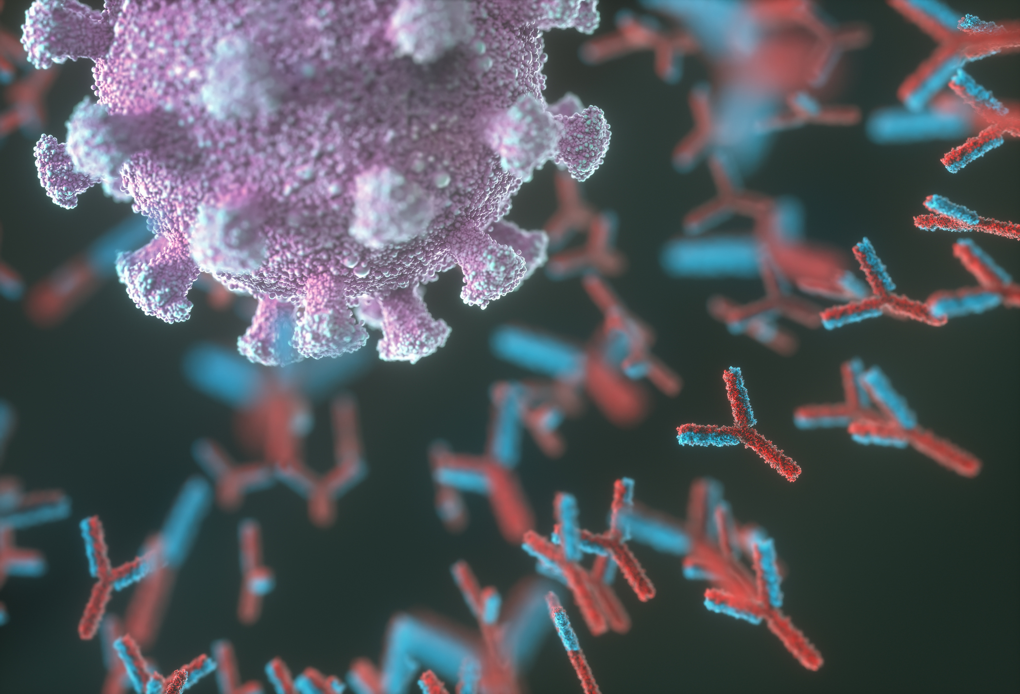 covid-19-antibodies