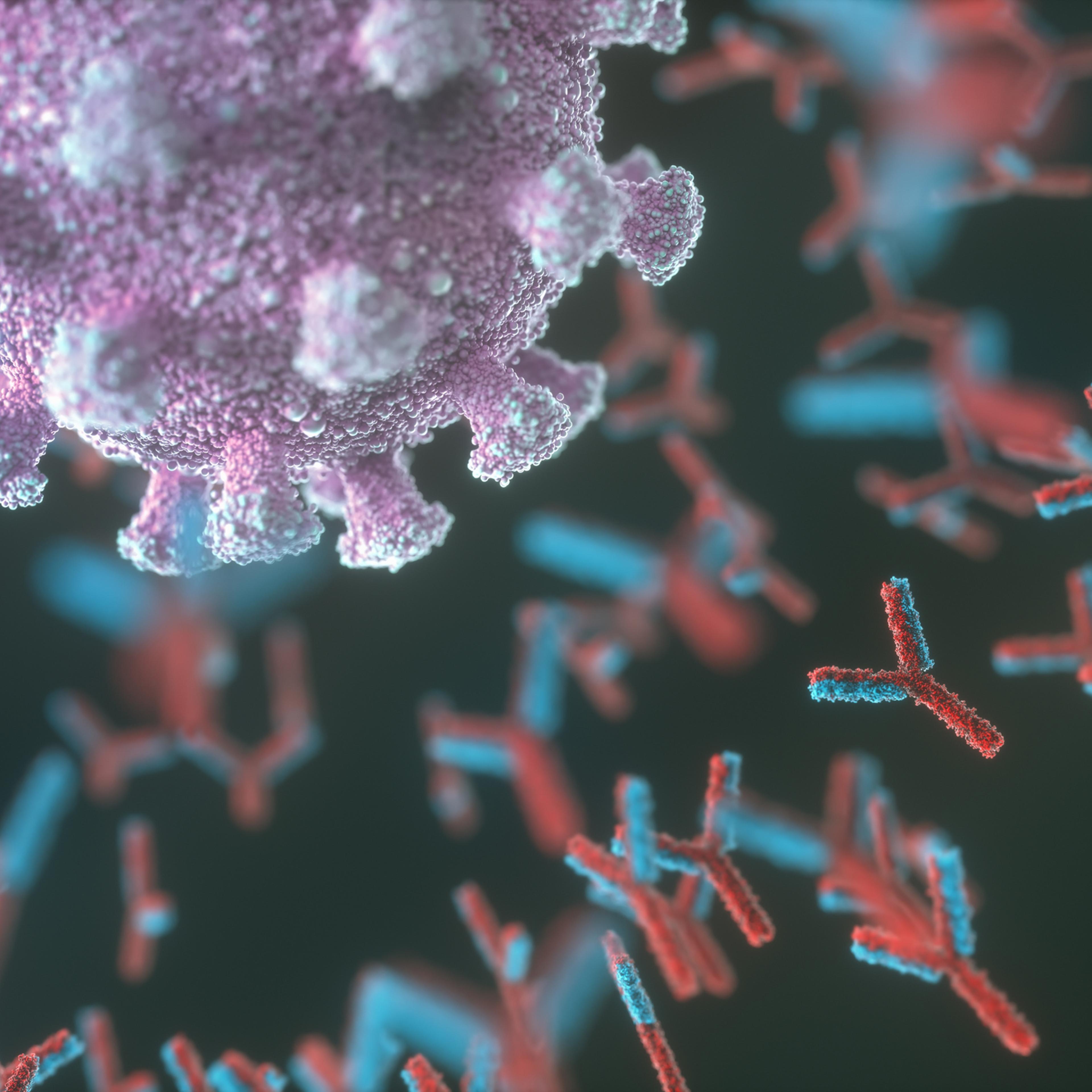 covid-19-antibodies