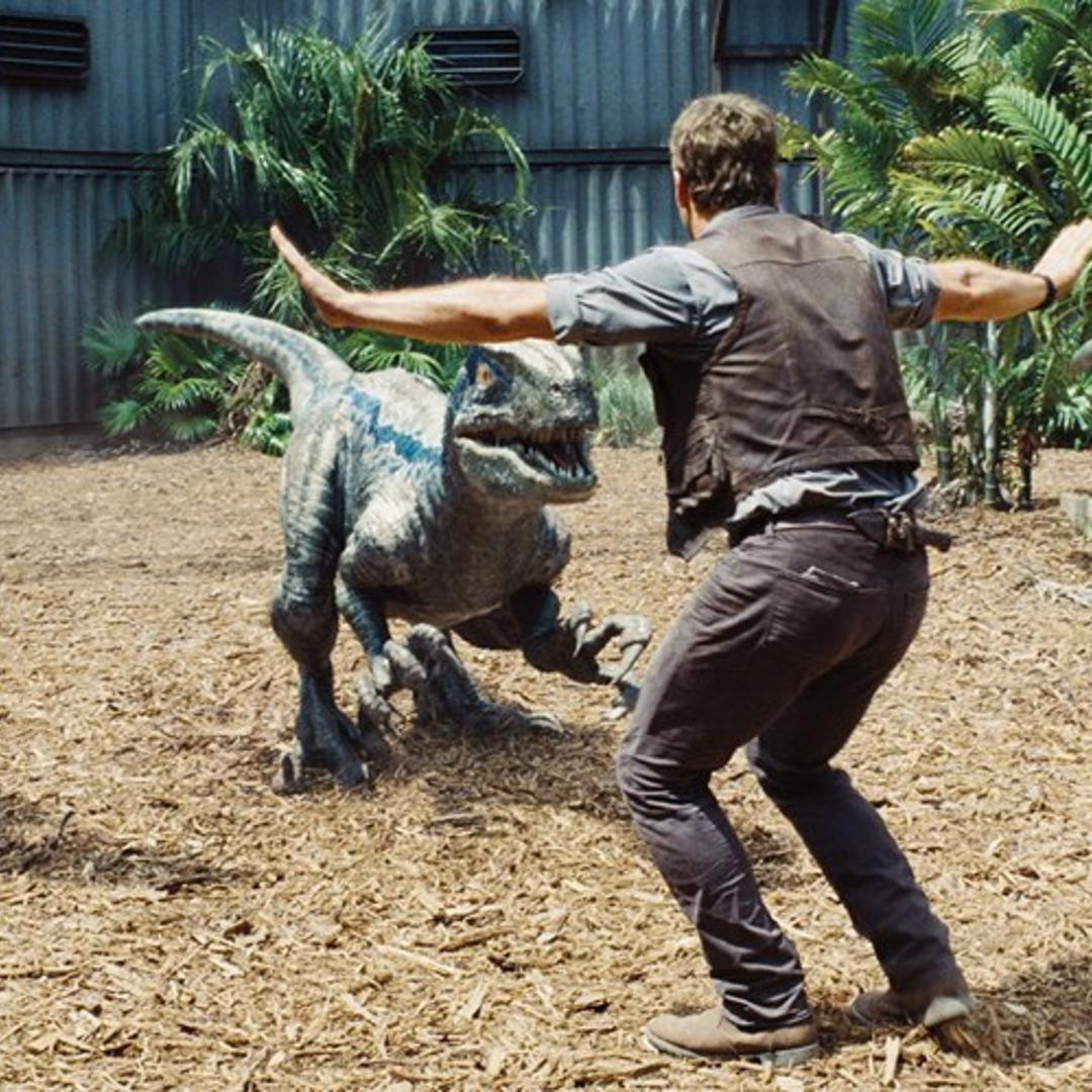 Chris Pratt as Owen in "Jurassic World."