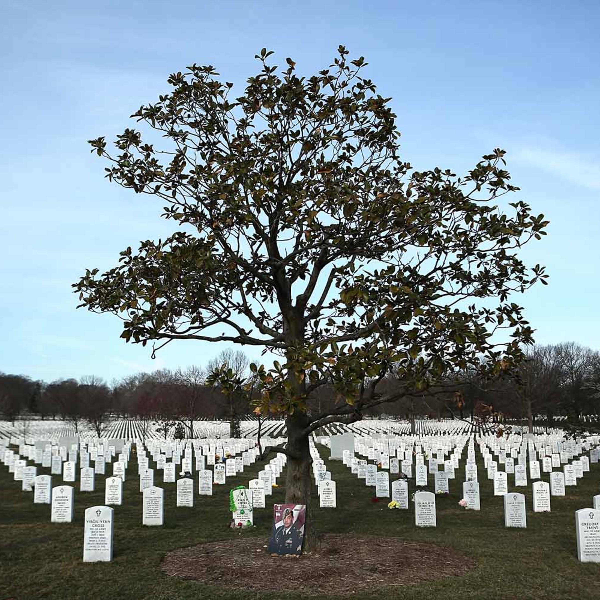 Arlington National Cemetery's Section 60 Dedicated To Those Killed In Afghan And Iraq War