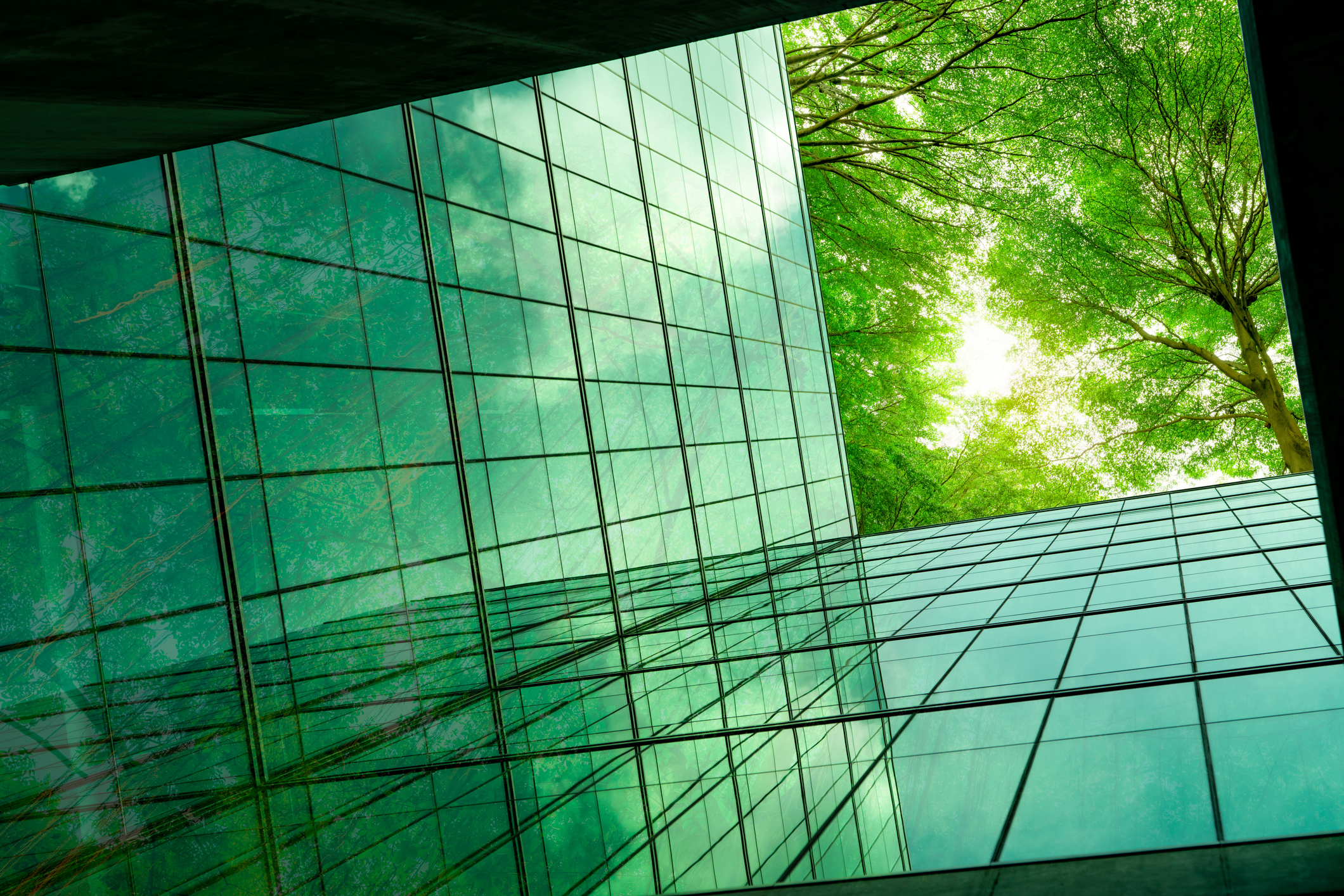 Despite the scale of the climate challenge, humanity has never had more resources or better technologies, to tackle it.