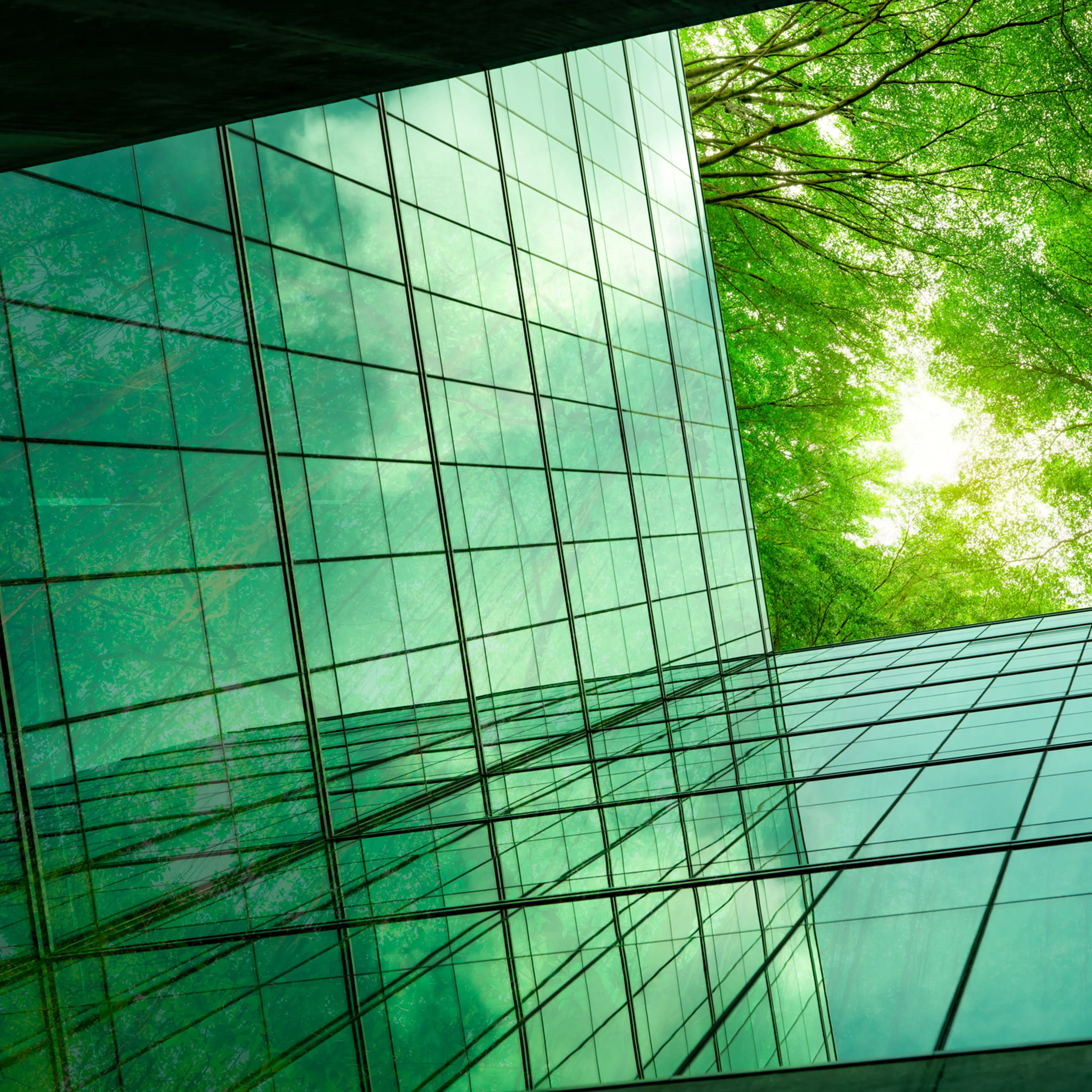 Despite the scale of the climate challenge, humanity has never had more resources or better technologies, to tackle it.