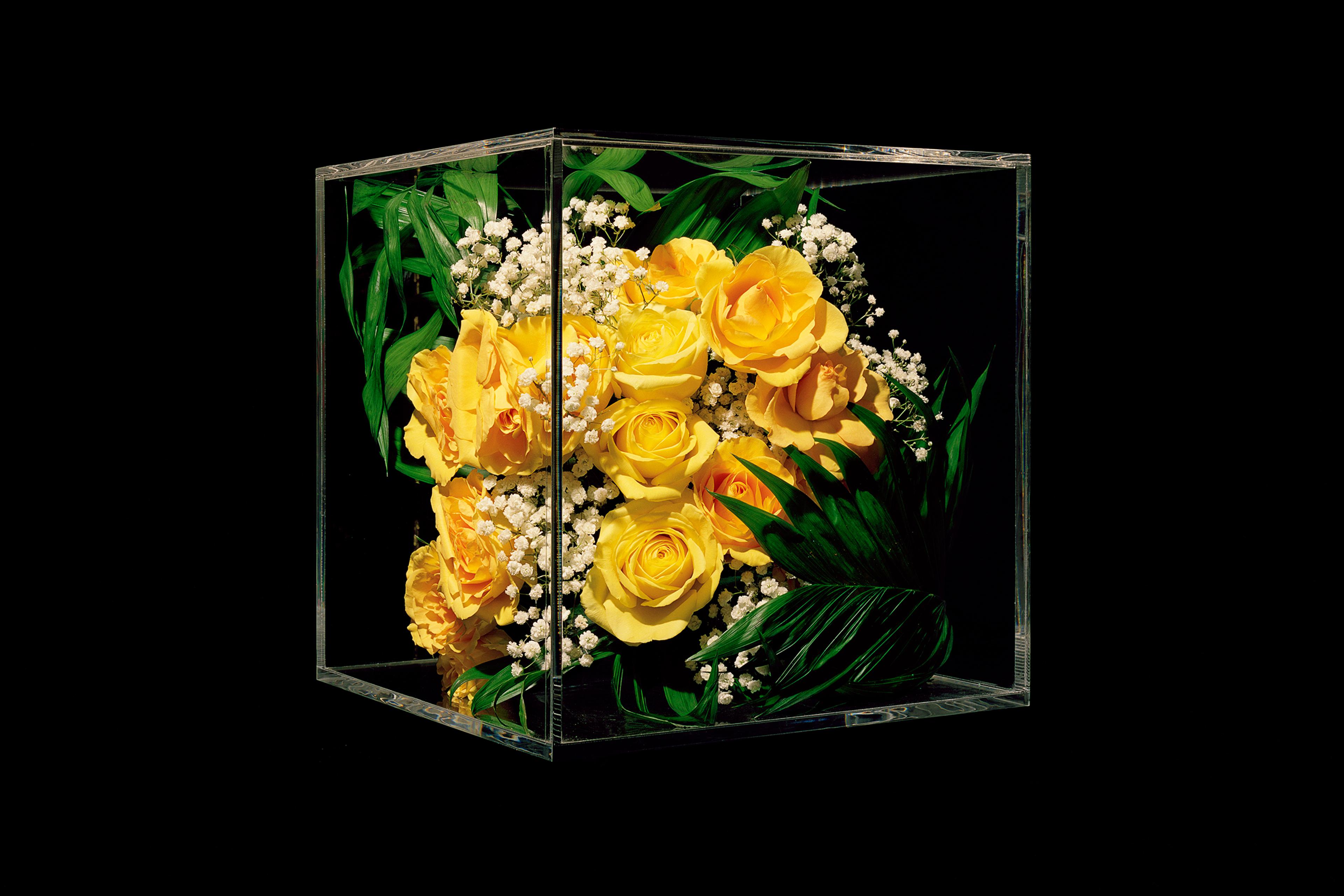 arrangement-yellow-roses-rachel-cox-funeral