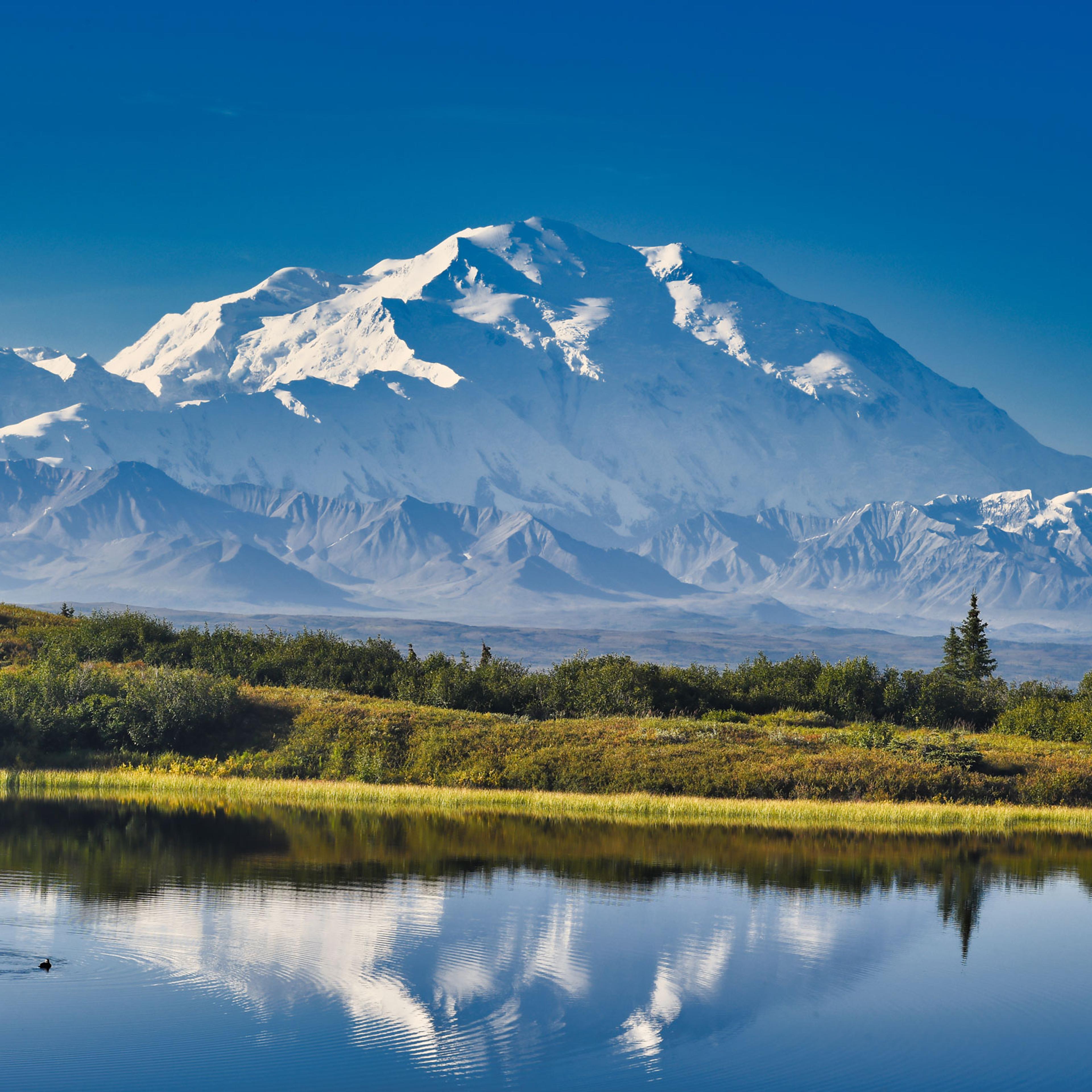 Denali as seen from Reflection Pond in Denali National Park, Alaska.