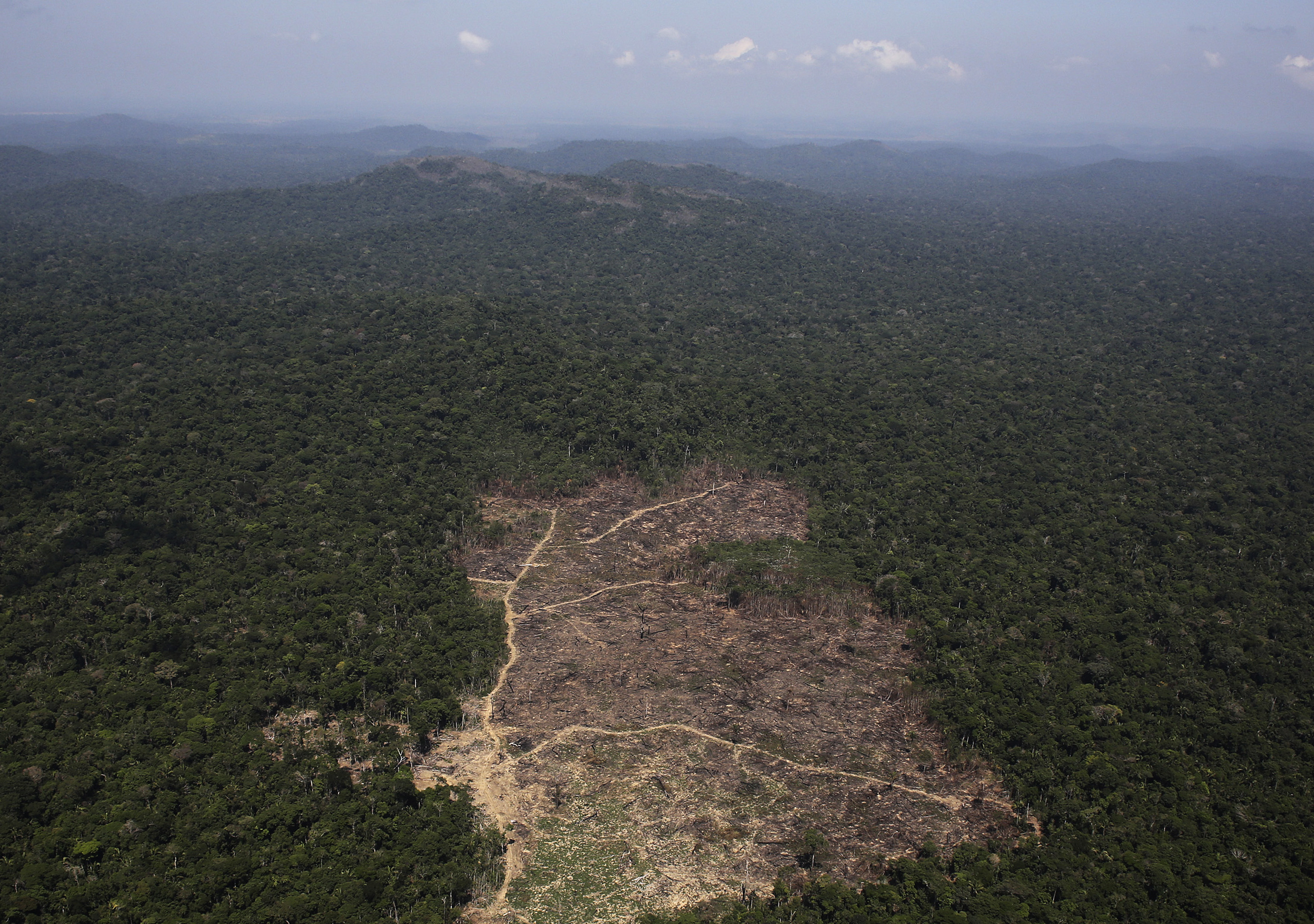 An aerial view of a tract of Amazon jungle recently cleared by loggers and farmers near the city of Novo Progresso