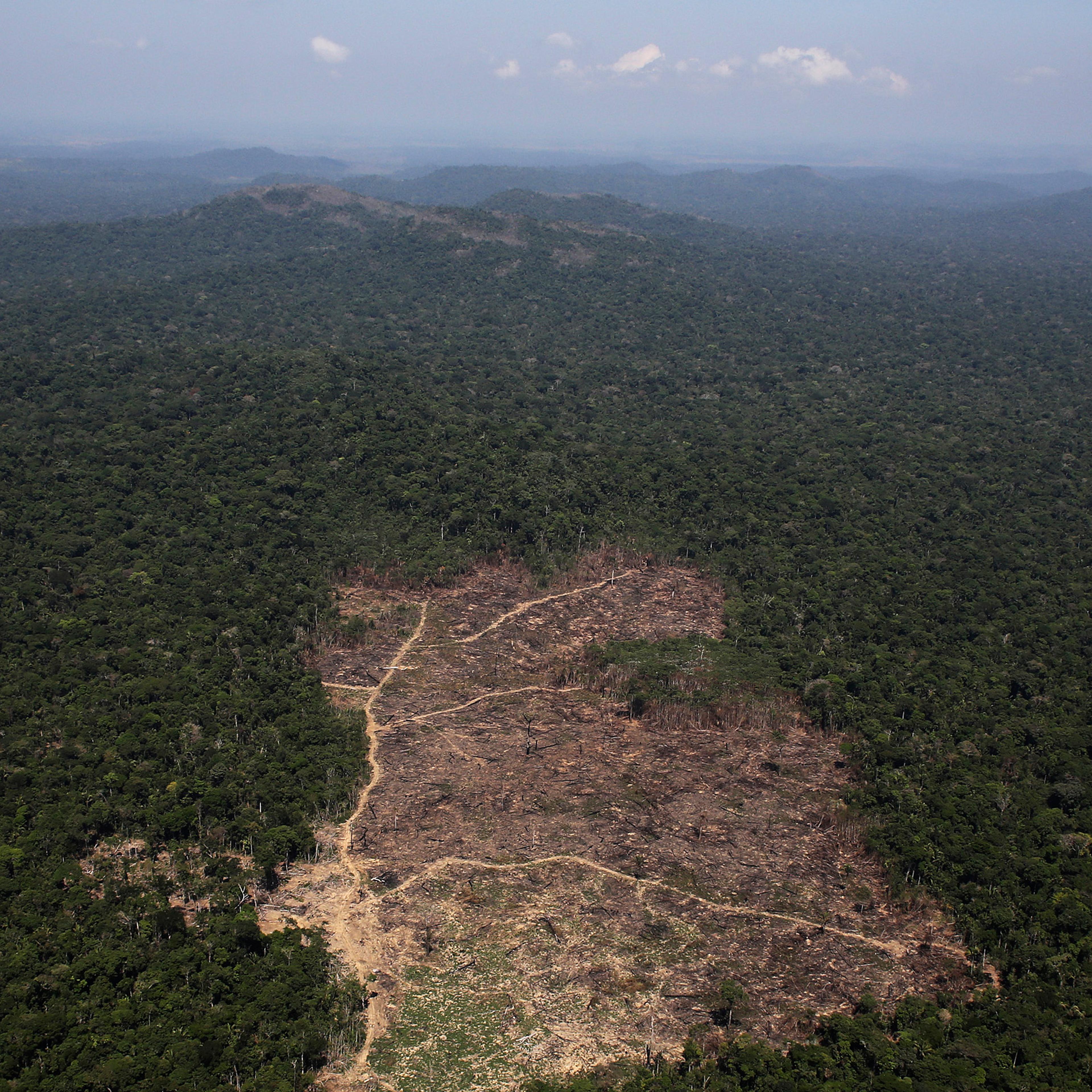 An aerial view of a tract of Amazon jungle recently cleared by loggers and farmers near the city of Novo Progresso