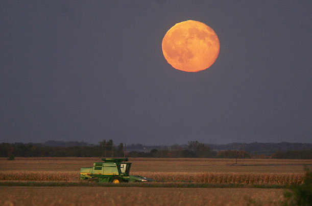 Arian Schuessler / The Globe Gazette / AP