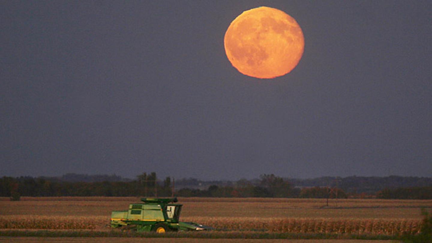 Arian Schuessler / The Globe Gazette / AP