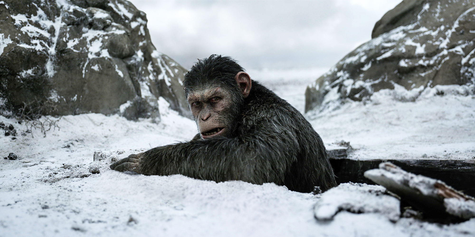 This image released by Twentieth Century Fox shows a scene from, "War for the Planet of the Apes." (Twentieth Century Fox via AP)