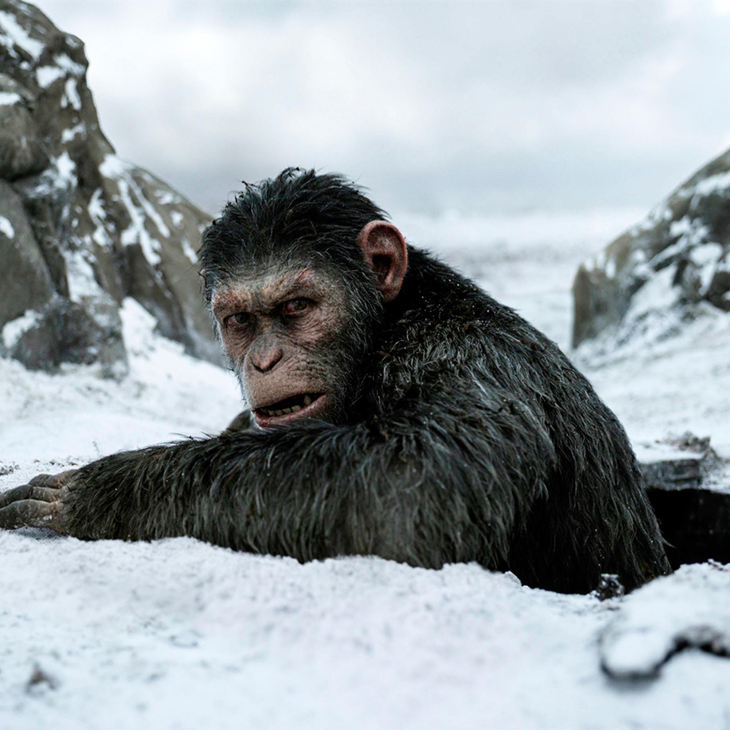 This image released by Twentieth Century Fox shows a scene from, "War for the Planet of the Apes." (Twentieth Century Fox via AP)