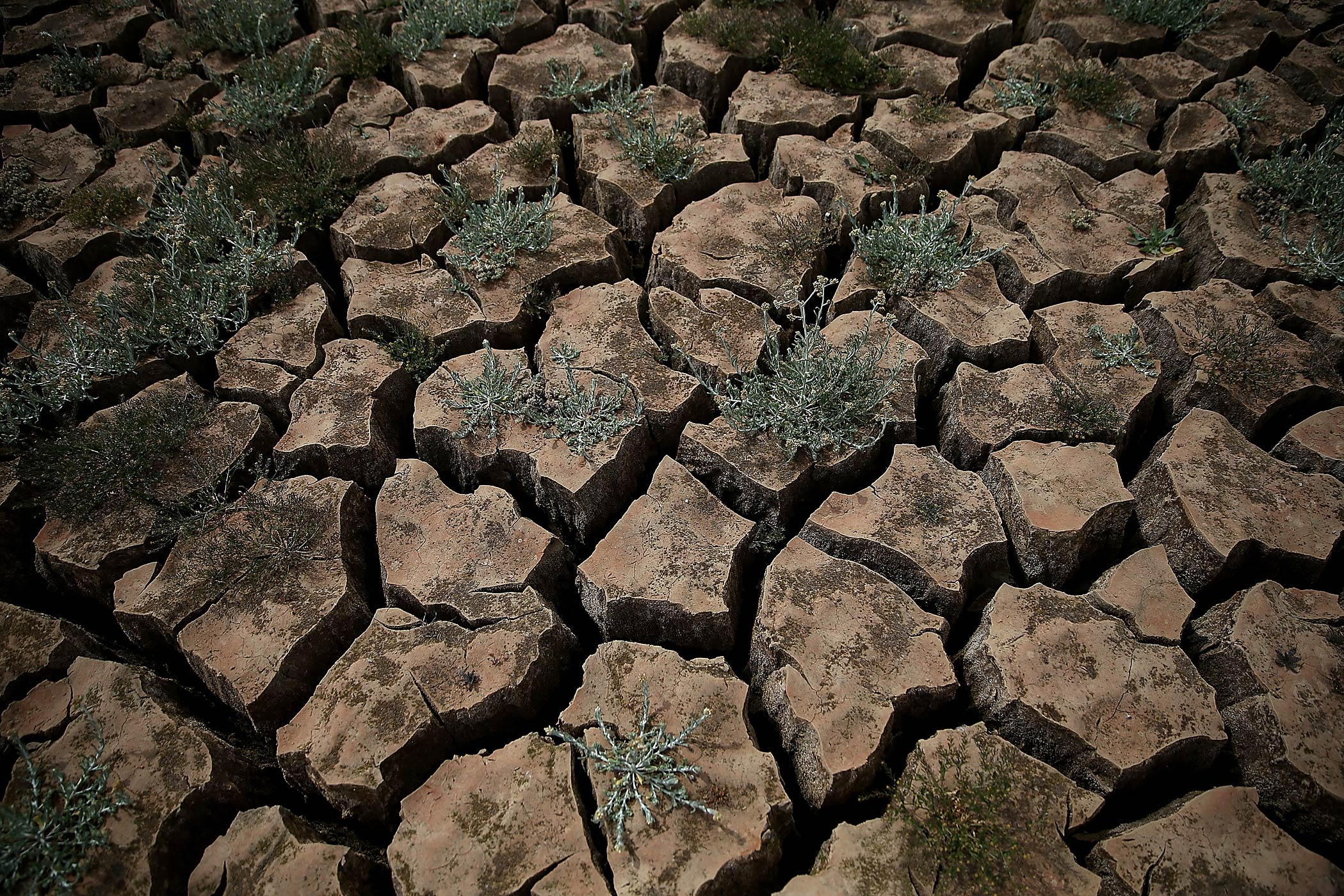 Drought-Stricken California Community Close To Running Out Of Water