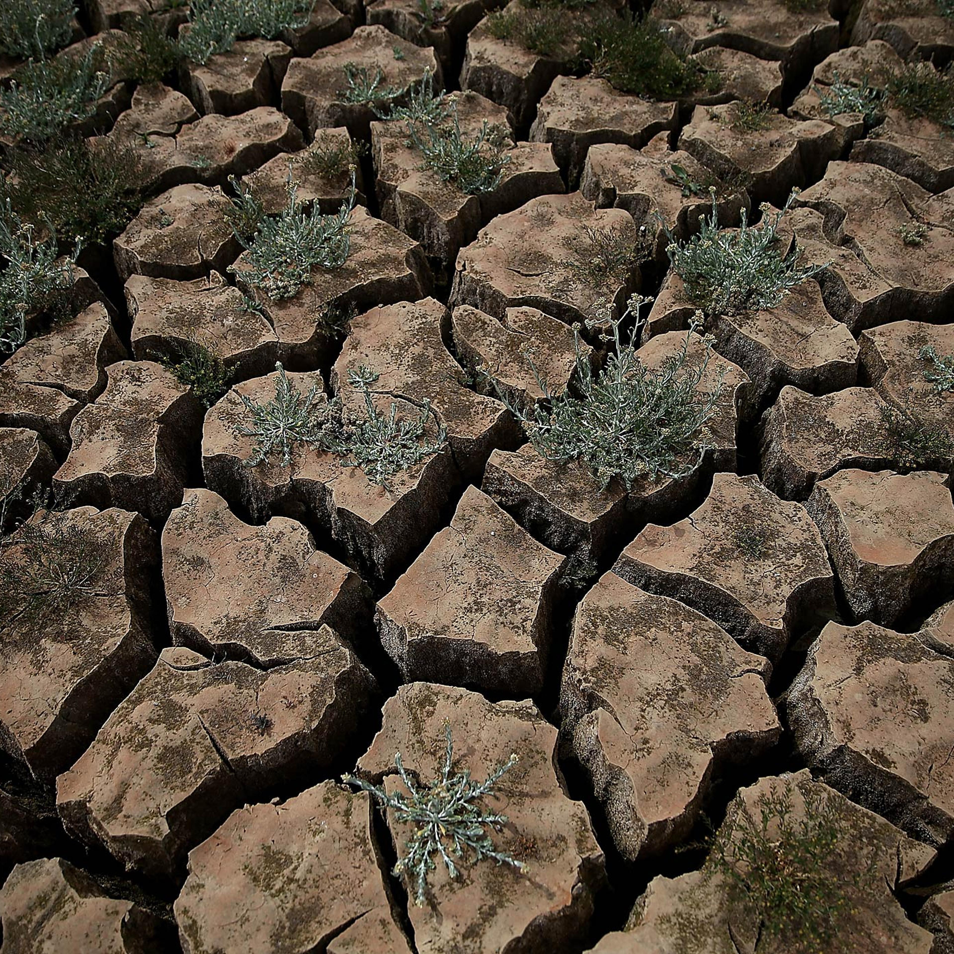 Drought-Stricken California Community Close To Running Out Of Water