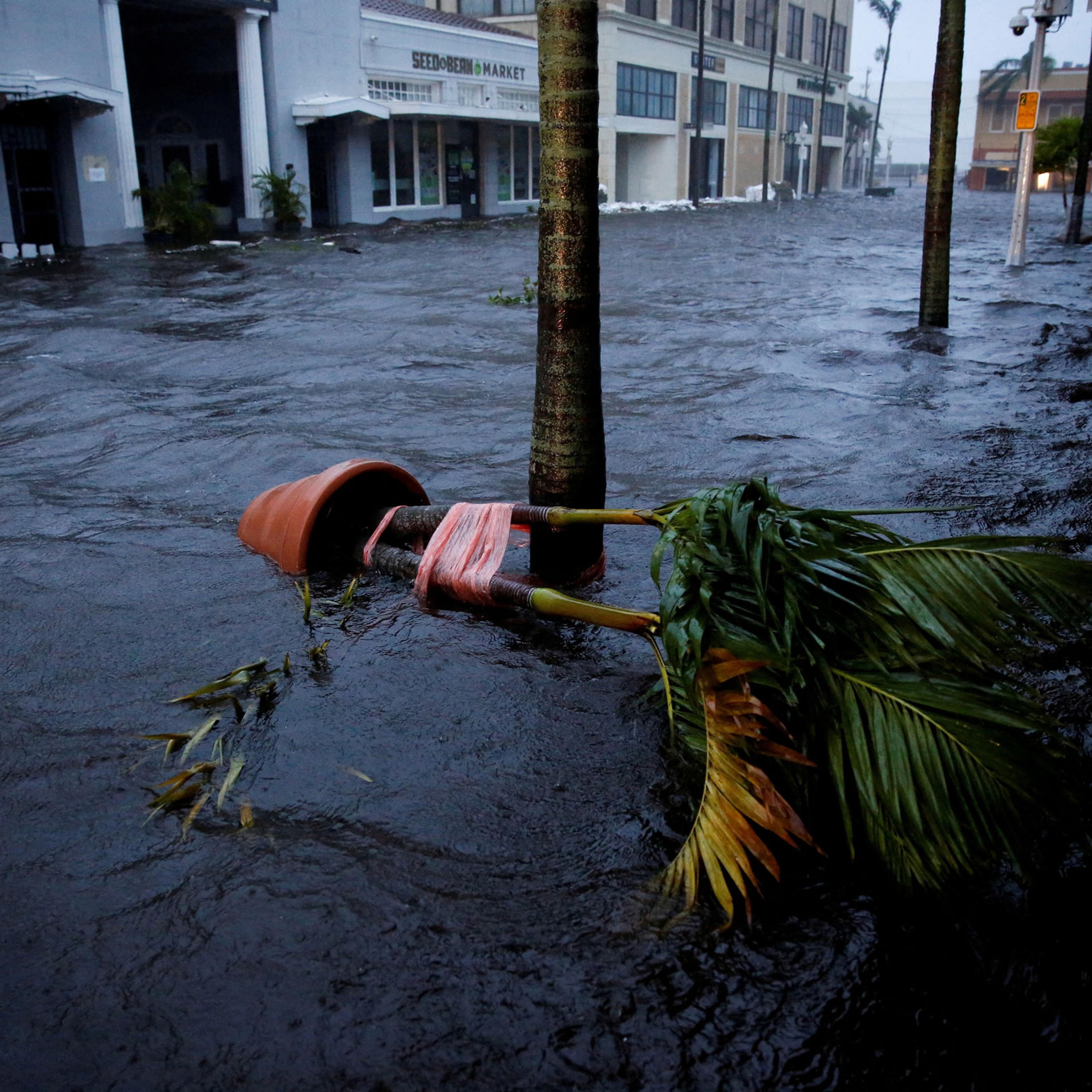 Hurricane Ian makes landfall in southwestern Florida