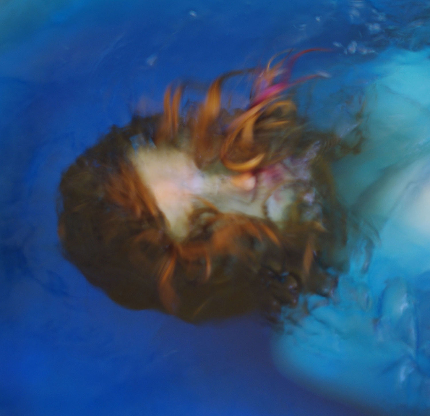 <i>Untitled, 2009</i>