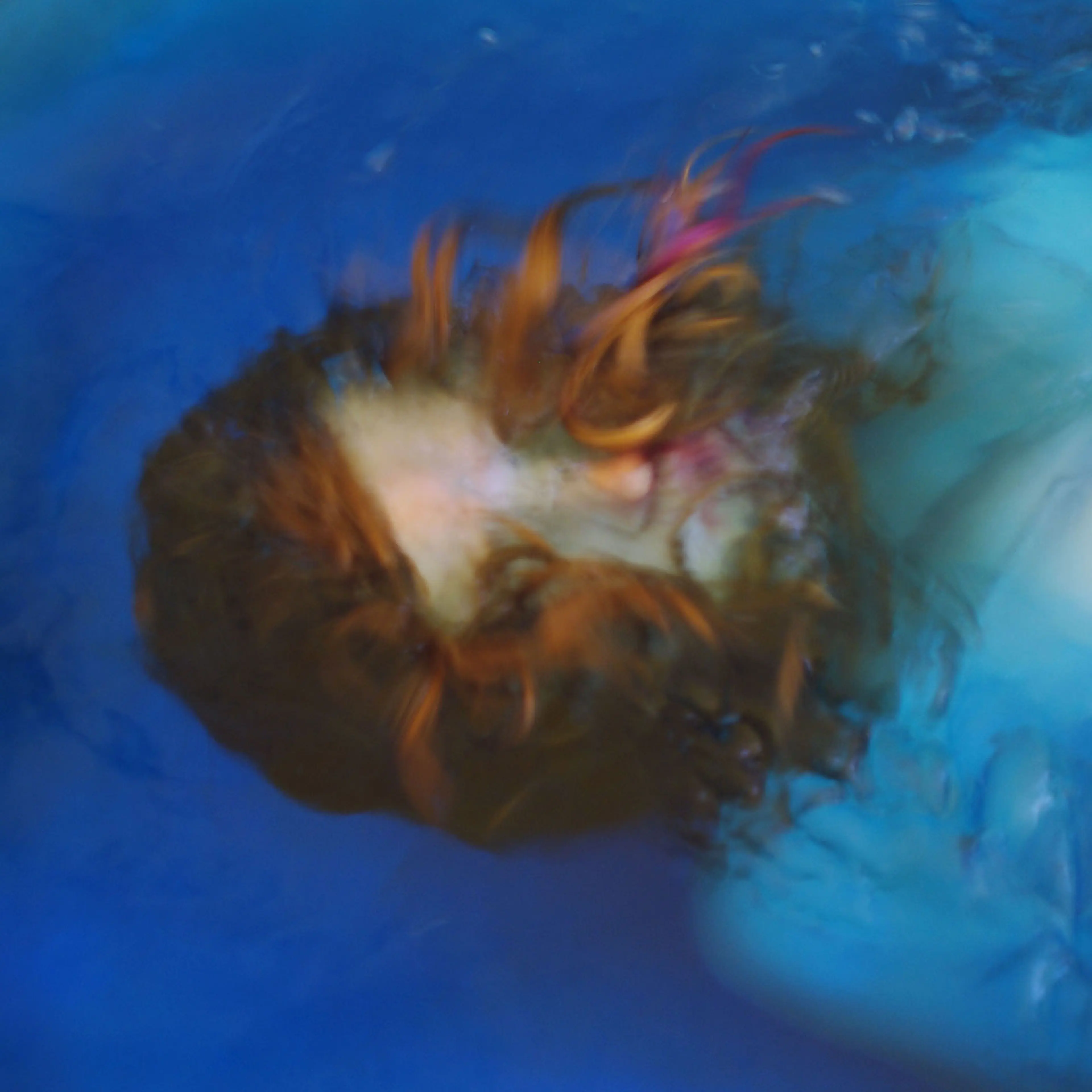 <i>Untitled, 2009</i>