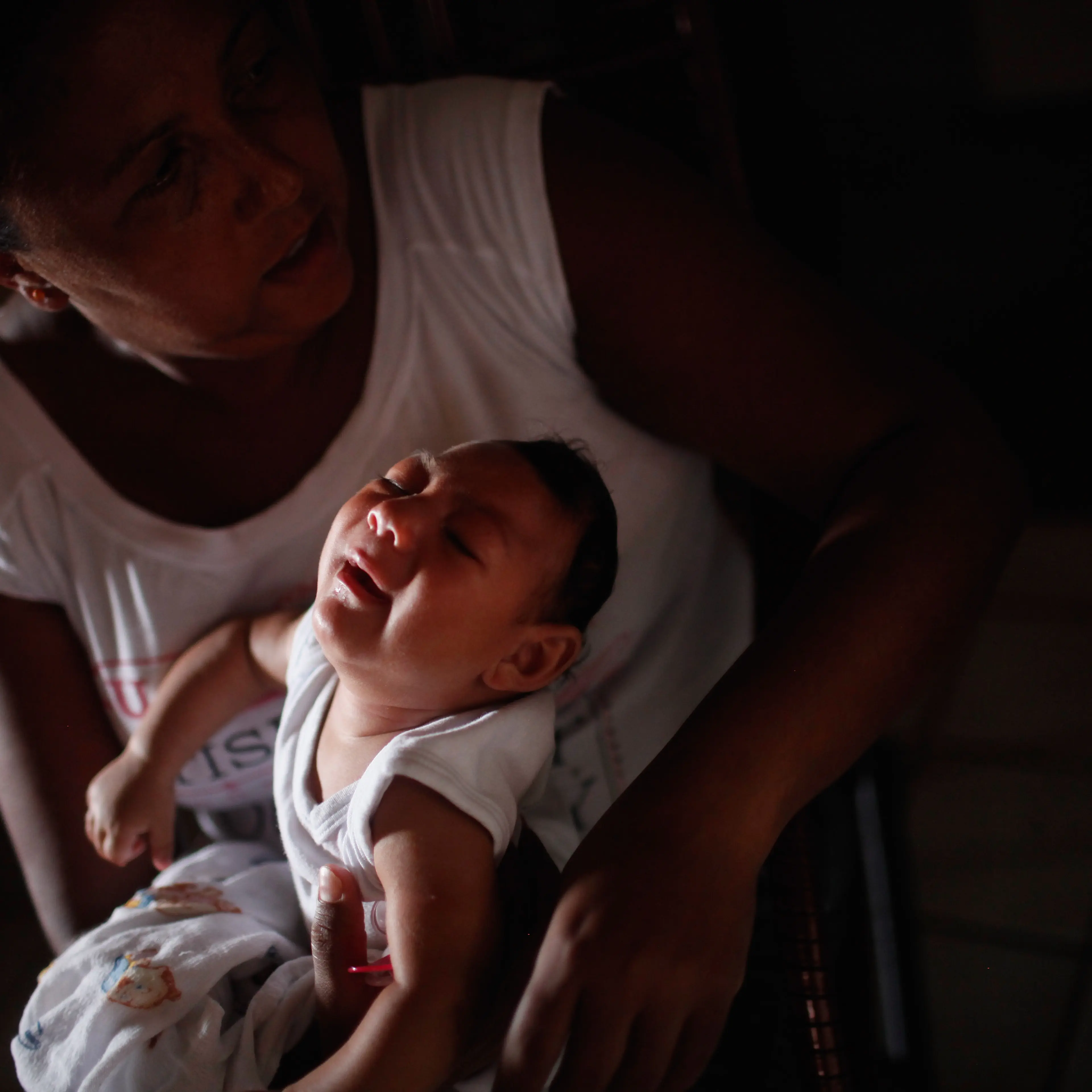 Brazil Faces New Health Epidemic As Mosquito-Borne Zika Virus Spreads Rapidly