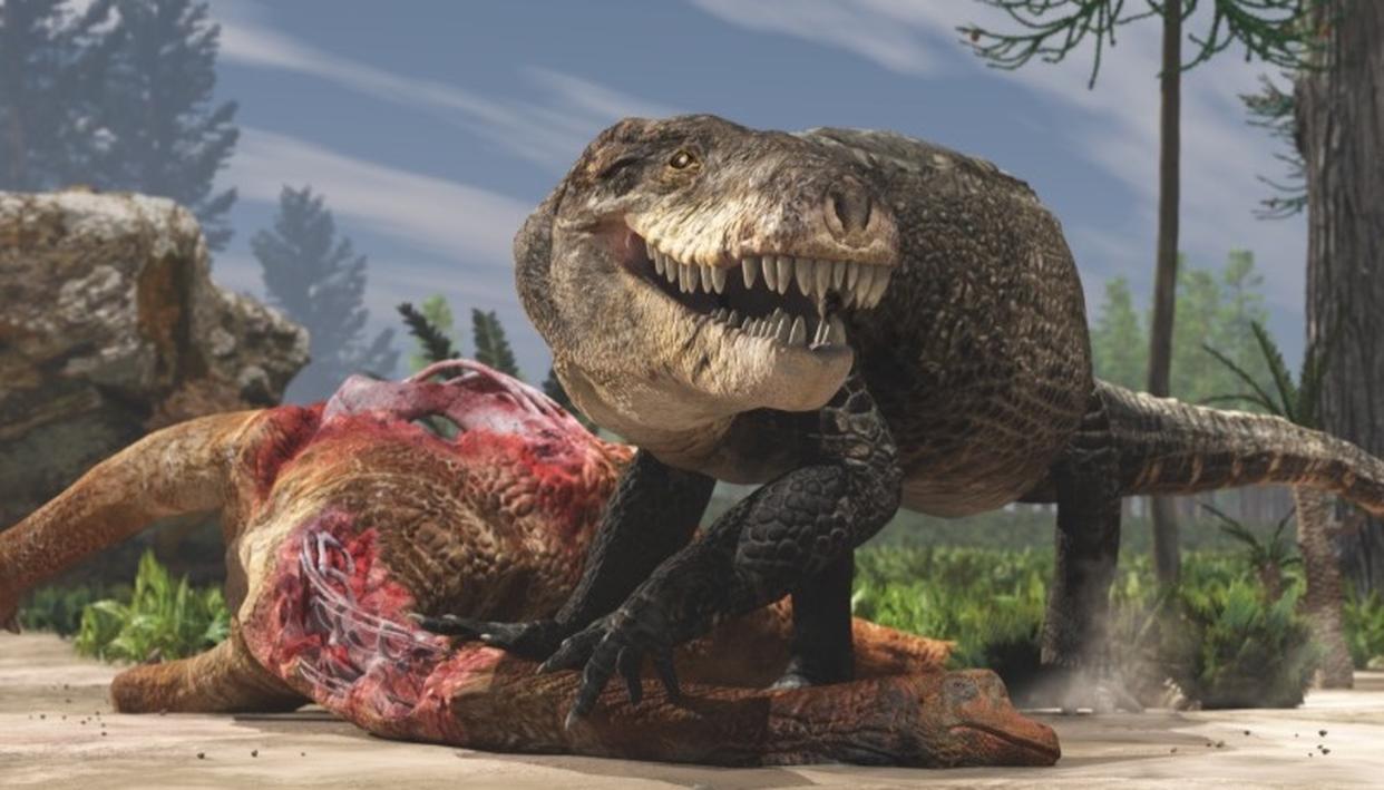An artist’s rendering shows Razana and its giant teeth eating the carcass of a plant-eating dinosaur in the Middle Jurassic of Madagascar. 