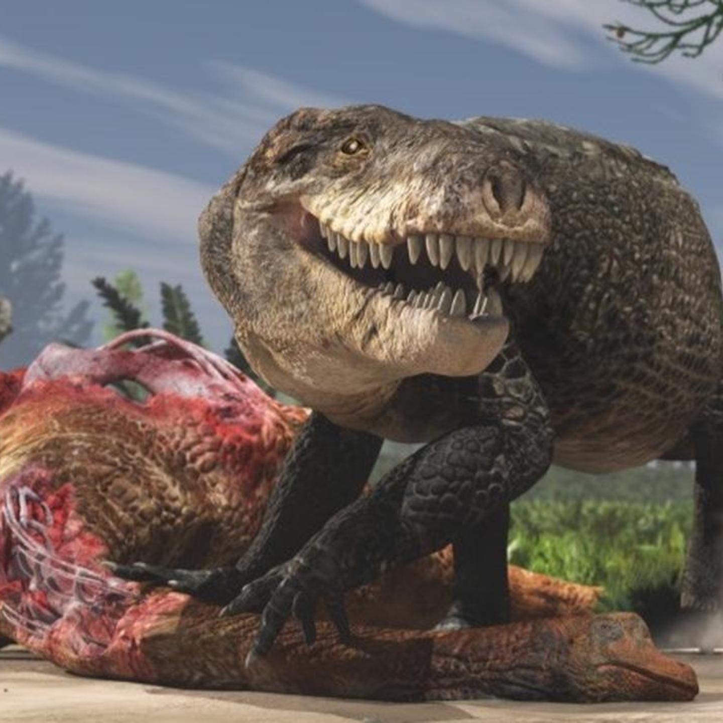 An artist’s rendering shows Razana and its giant teeth eating the carcass of a plant-eating dinosaur in the Middle Jurassic of Madagascar.