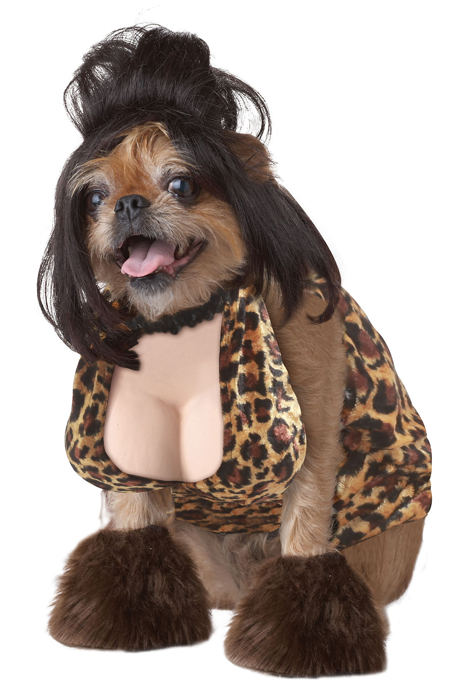 Dog Costumes