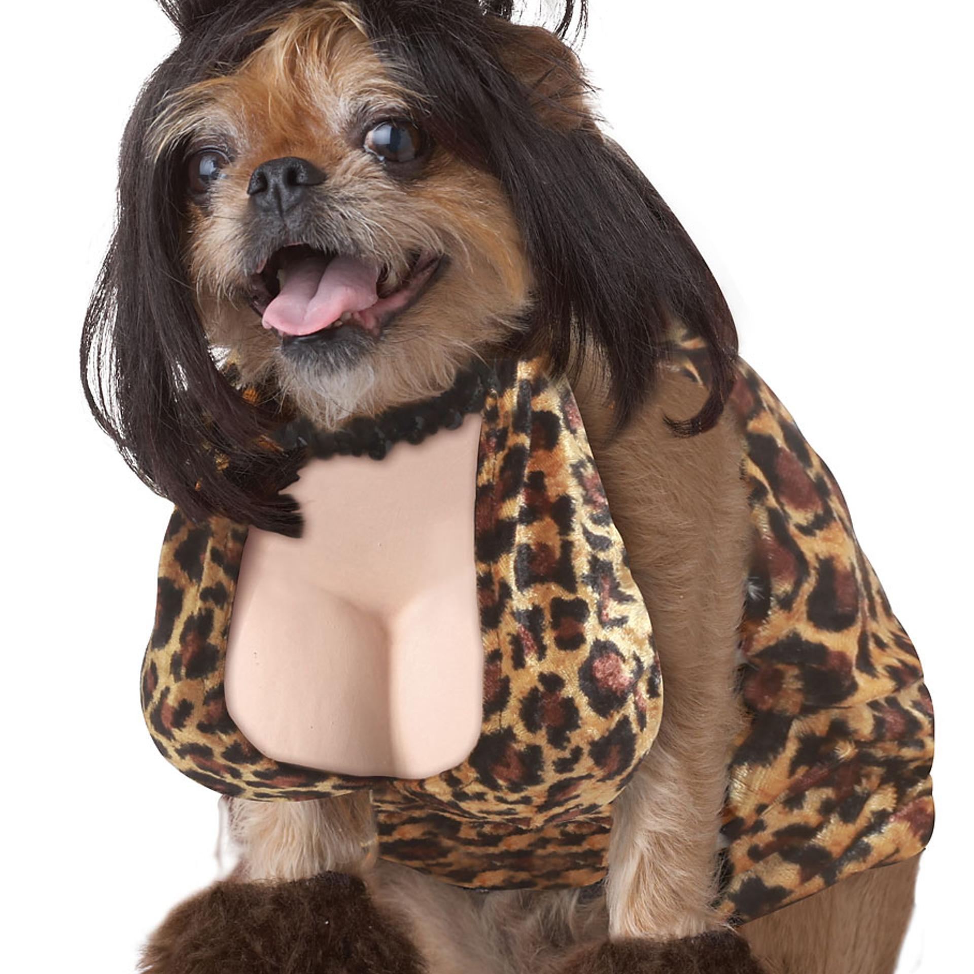Dog Costumes
