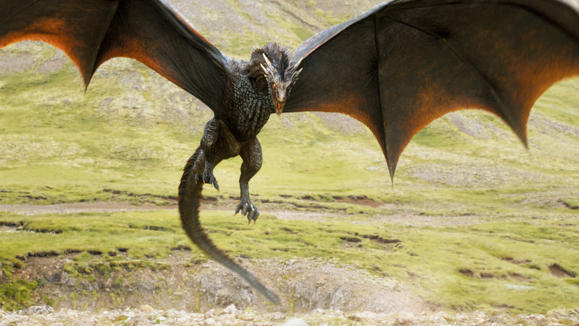 A dragon from HBO's <em>Game of Thrones</em>