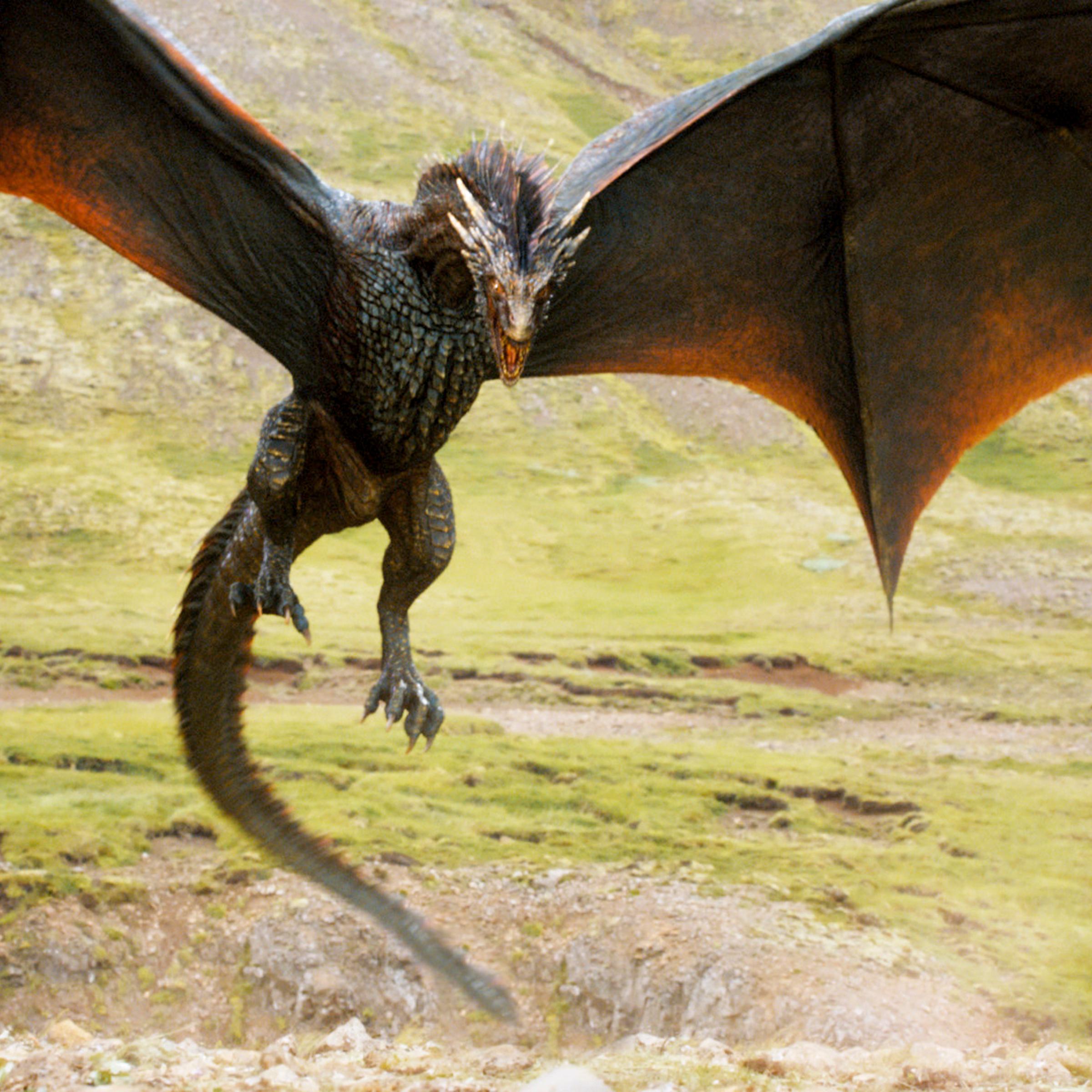 A dragon from HBO's <em>Game of Thrones</em>
