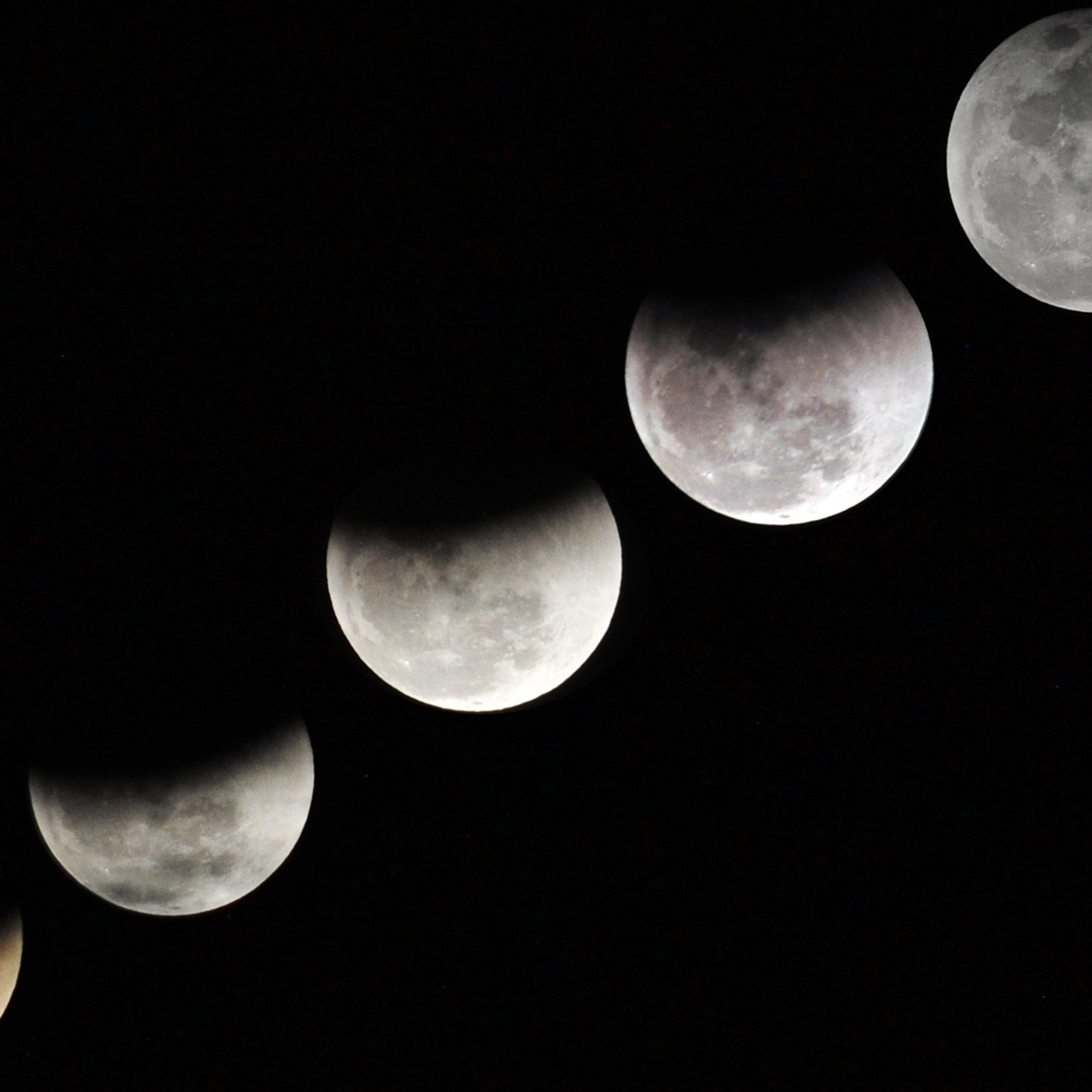 Stages of January 31 lunar eclipse