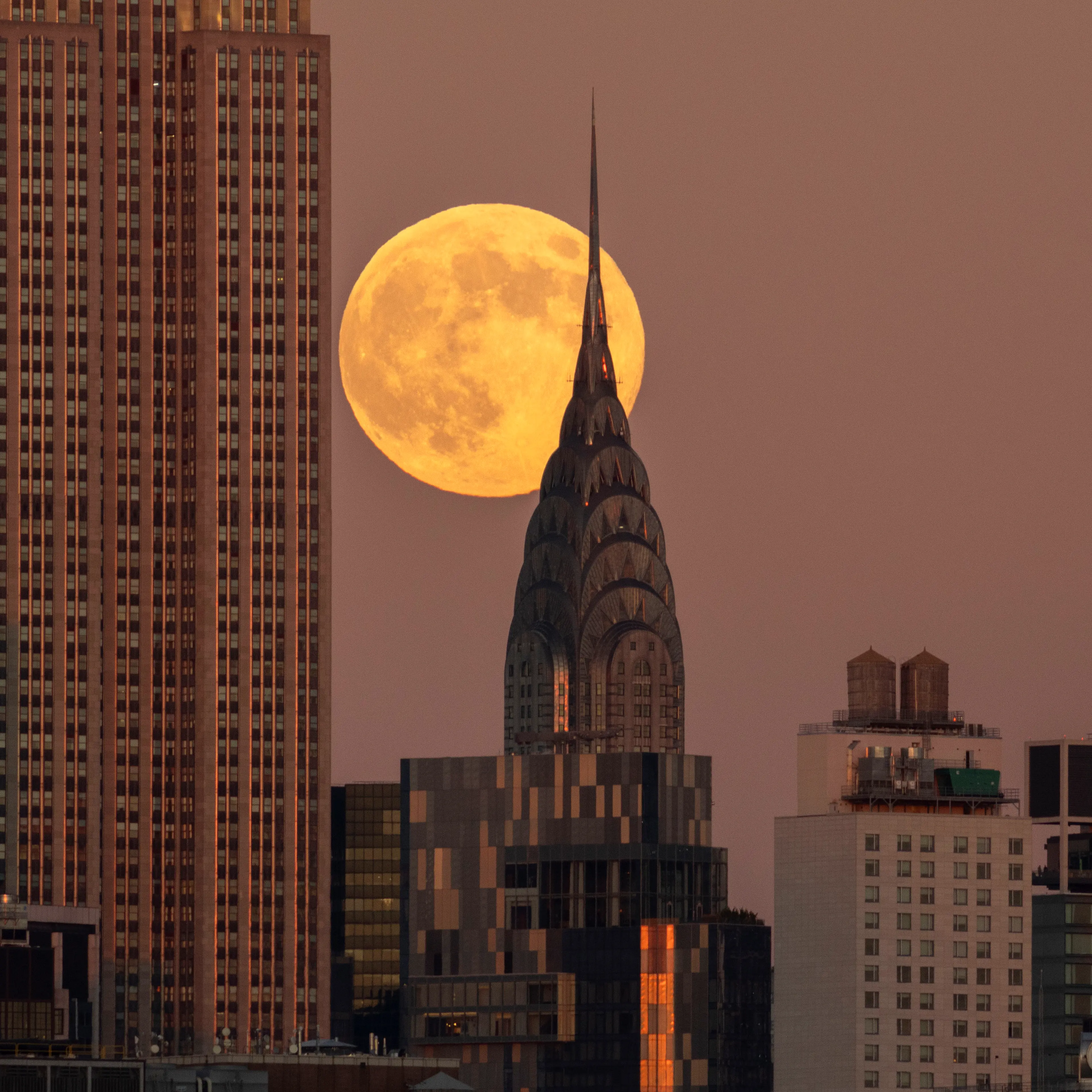 Beaver Supermoon in New York City