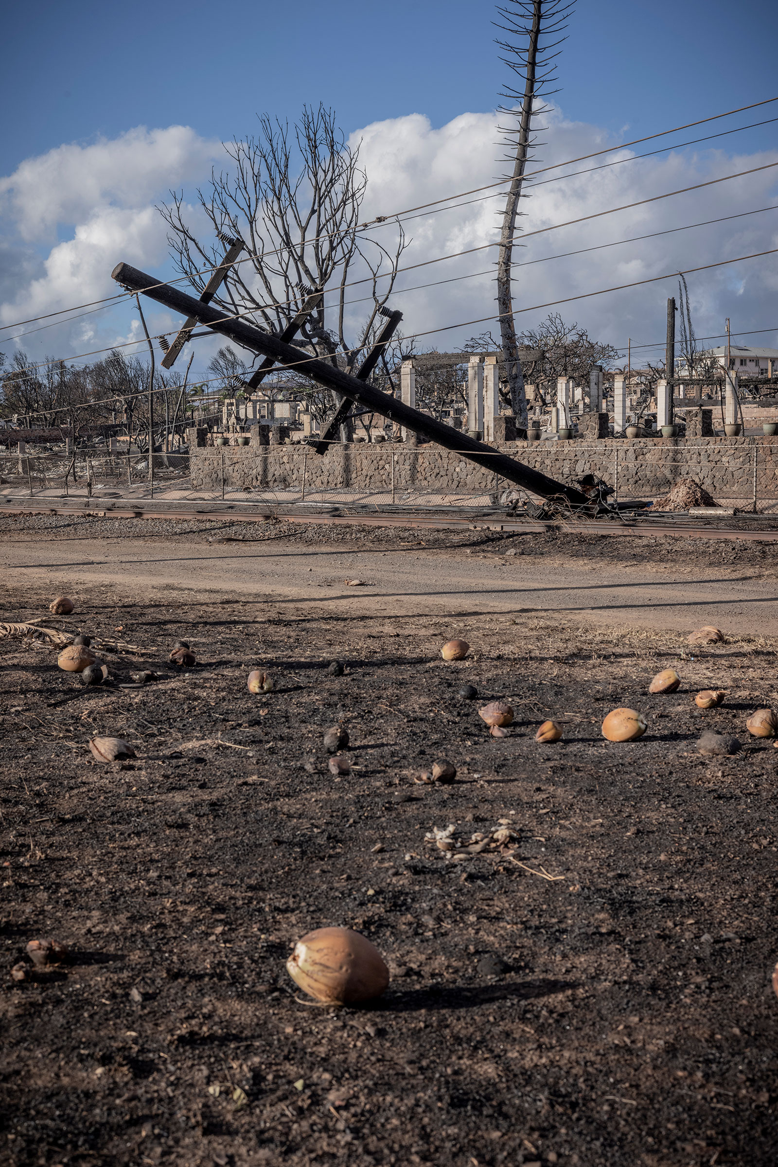 August 14, 2023  Lahaina, Hawaii  Scenes of devastation where deadly fires swept through this popular island town on August 8, 2023. Some of the burned vehicles show an “X” which was painted by search and rescue crews signifying the vehicle has been chec