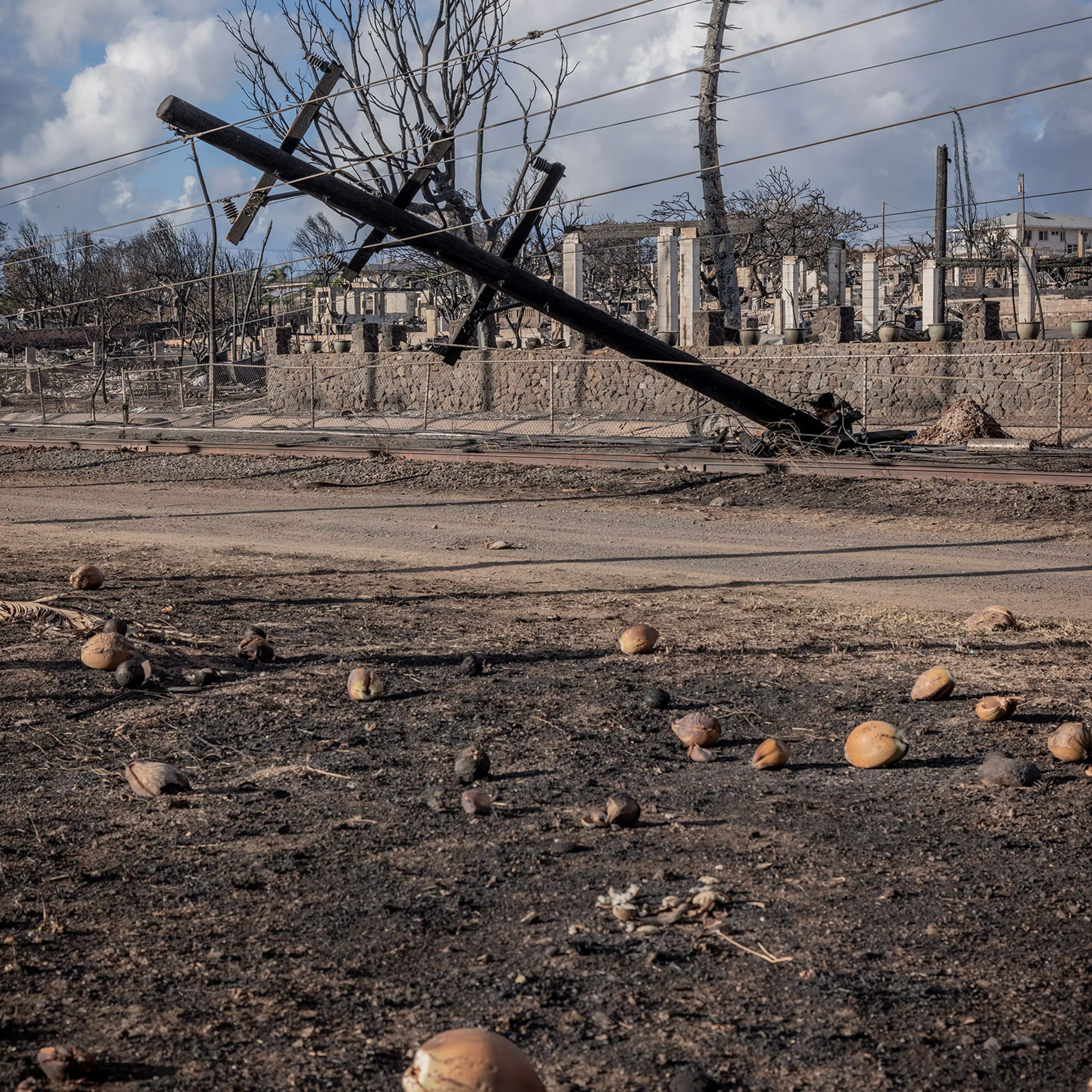 August 14, 2023 Lahaina, Hawaii Scenes of devastation where deadly fires swept through this popular island town on August 8, 2023. Some of the burned vehicles show an “X” which was painted by search and rescue crews signifying the vehicle has been chec