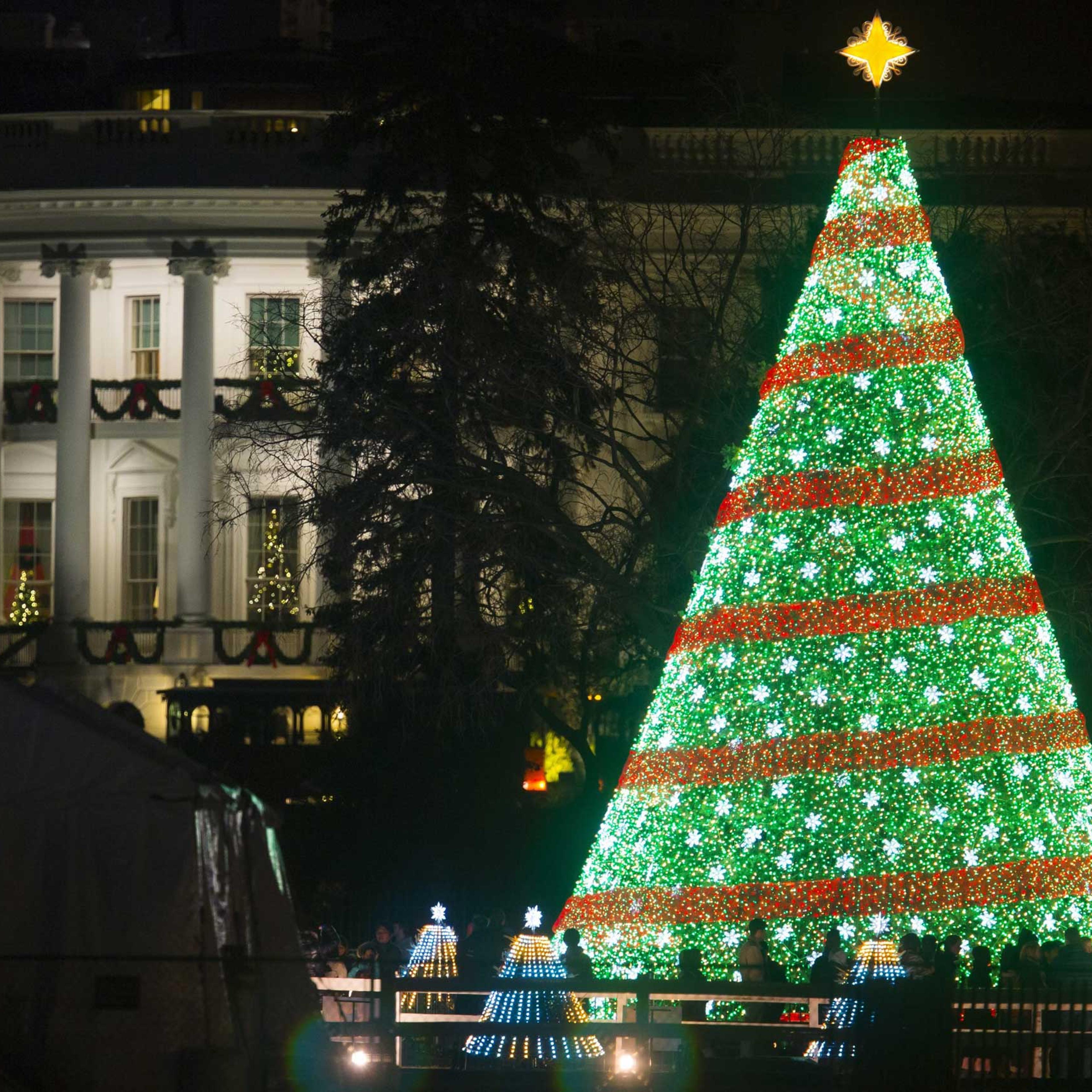 The National Christmas Tree is seen on the Ellipse, south of the White House in Washington on Dec. 7, 2014.