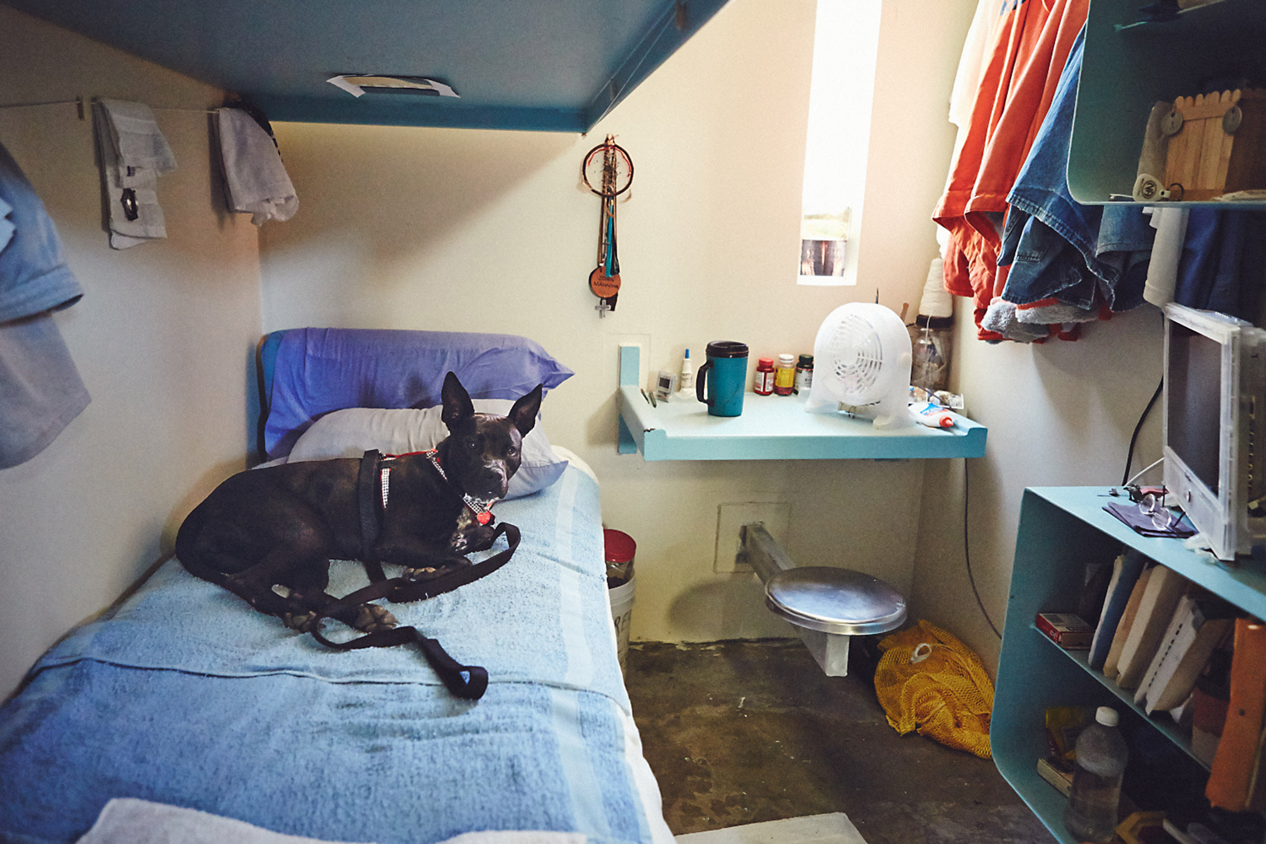 Inside the California Prison Where Inmates Train Rescue Dogs