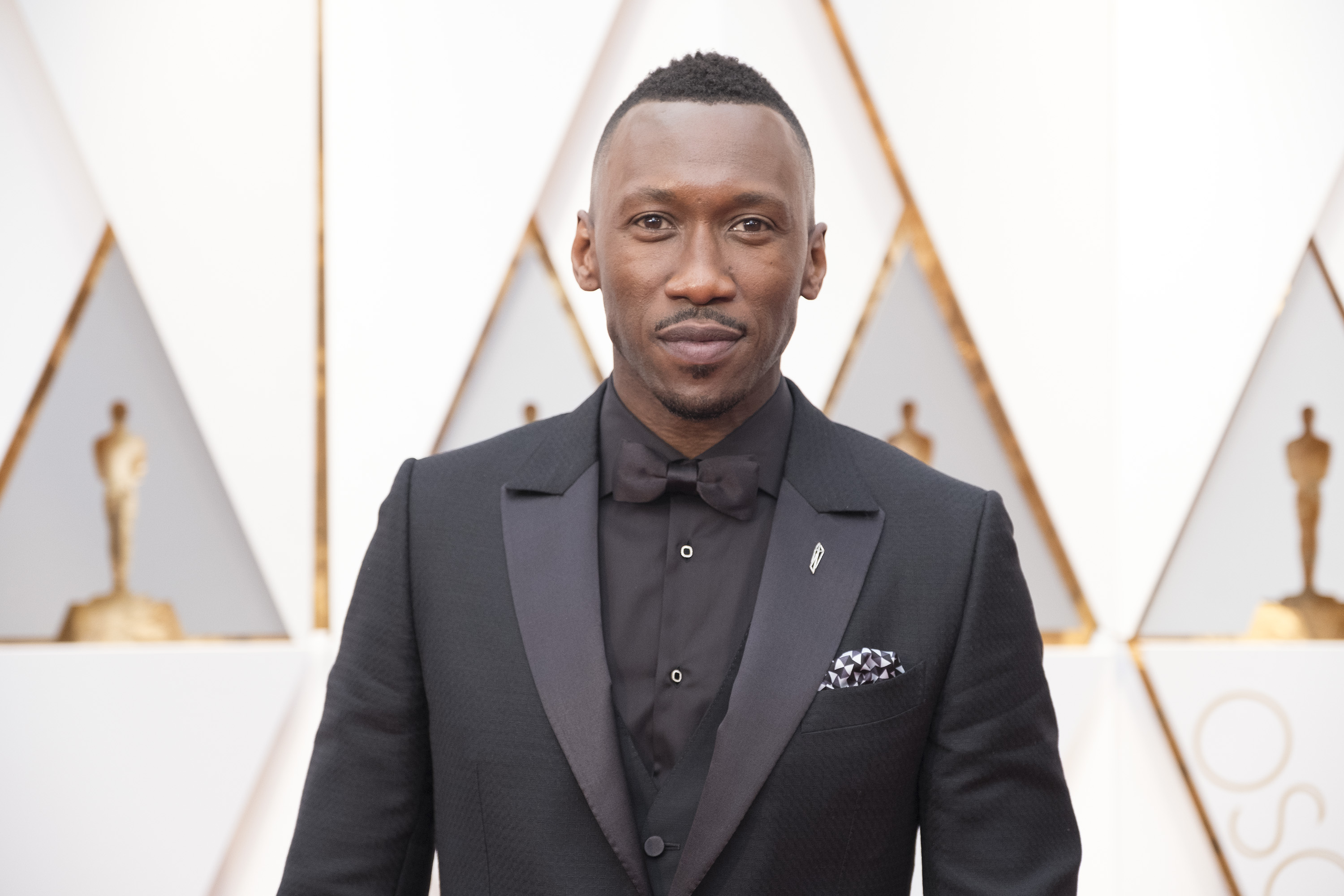 ABC's Coverage Of The 89th Annual Academy Awards
