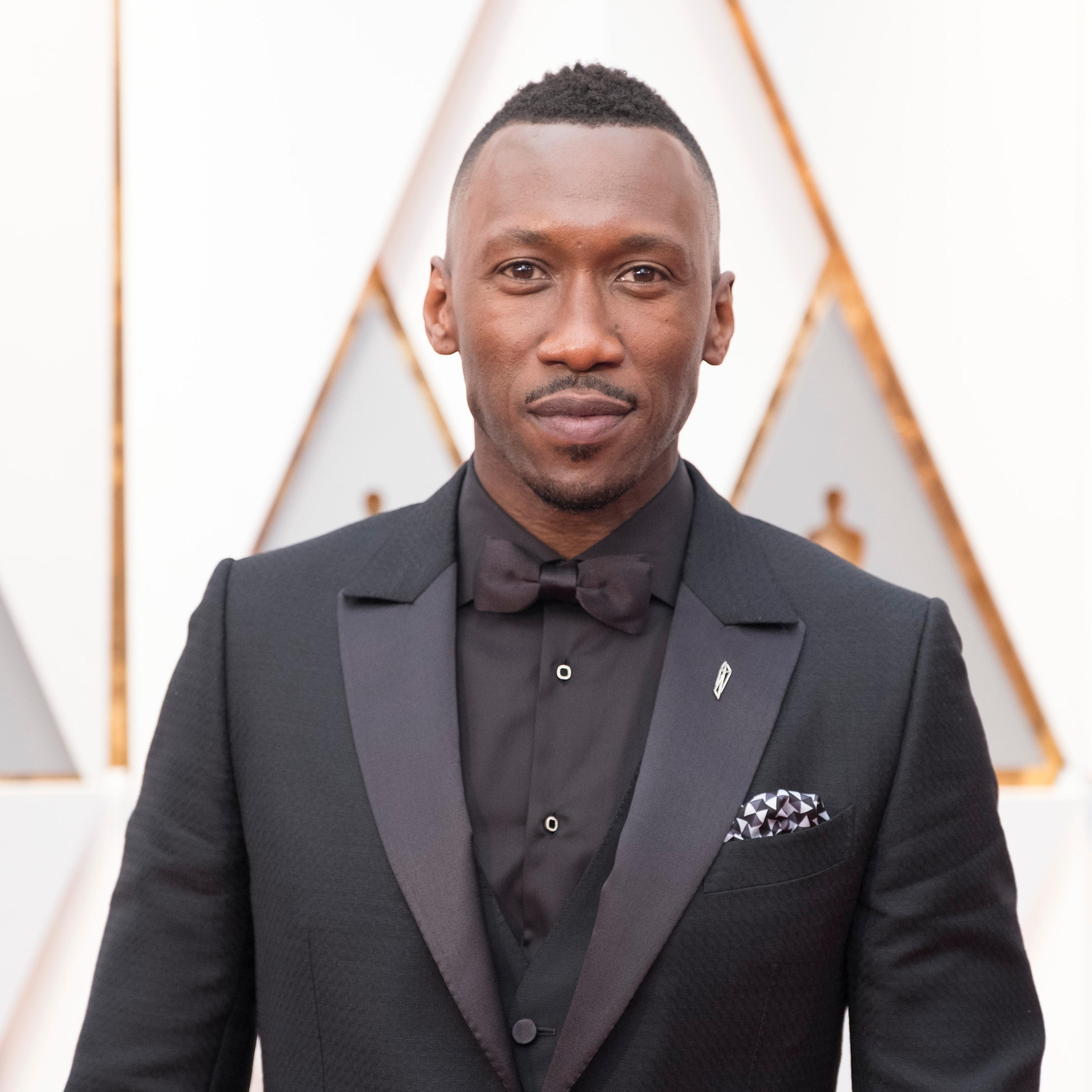 ABC's Coverage Of The 89th Annual Academy Awards