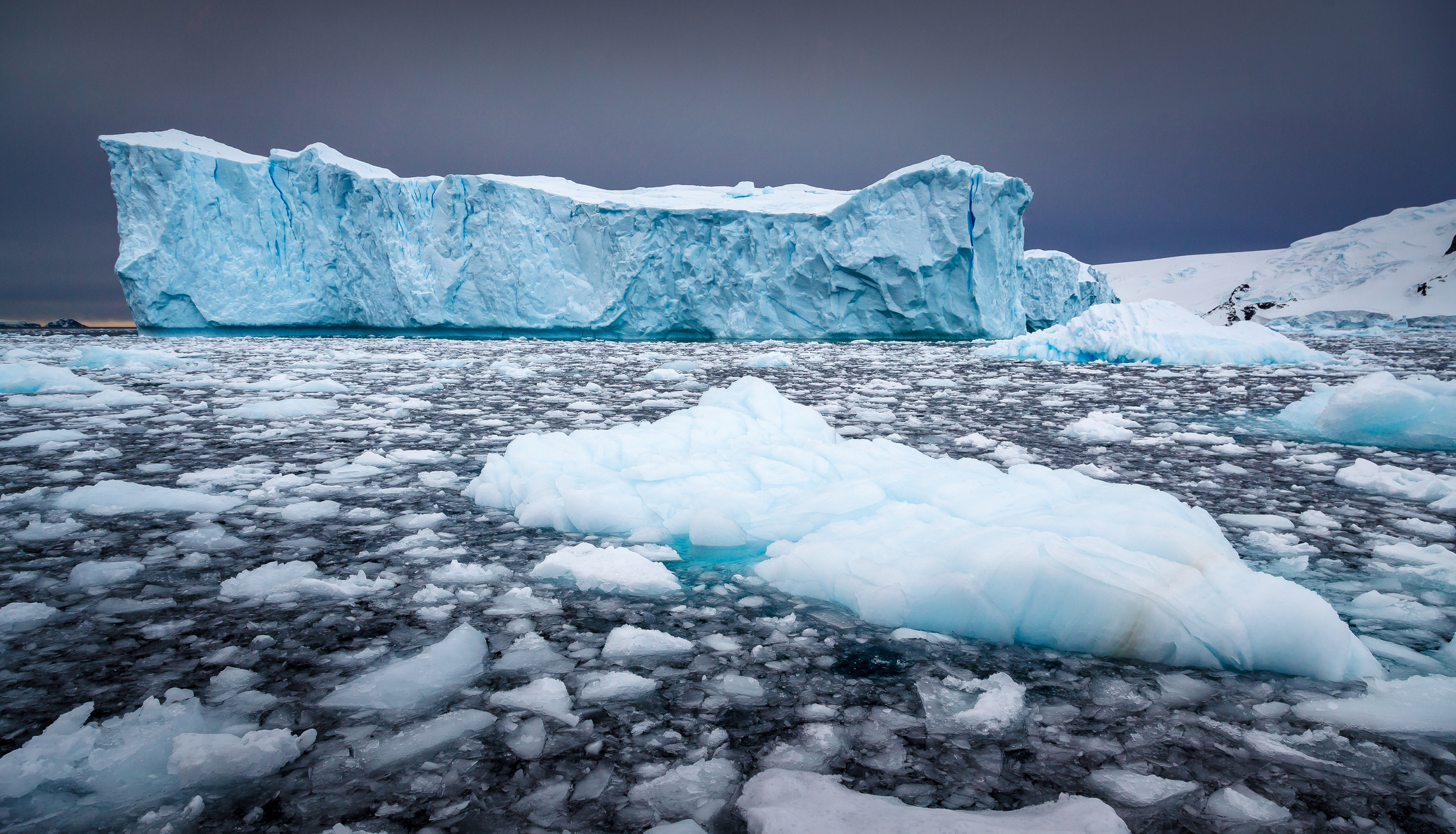 Icebergs floating in the sea in Antarctic Greenland.