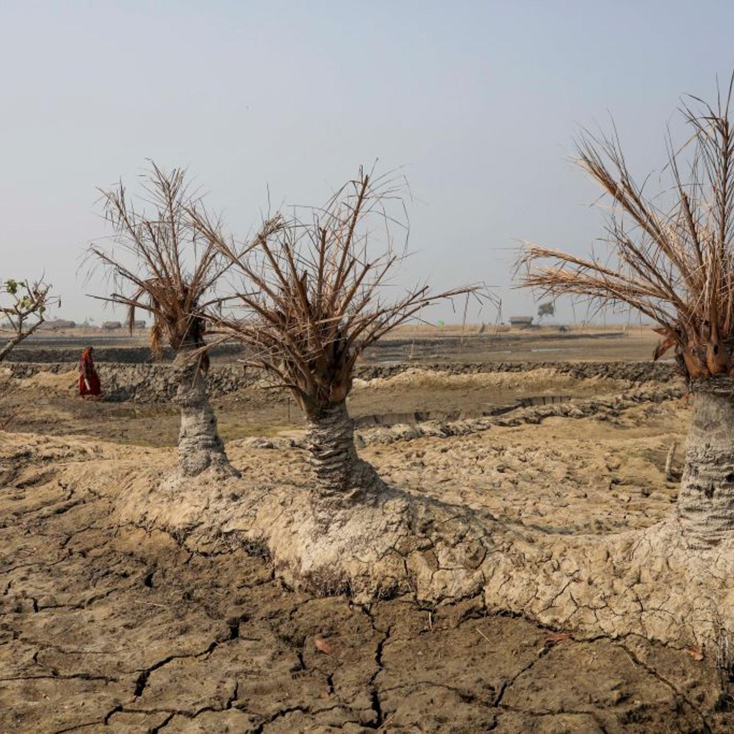 Climate Change In Bangladesh