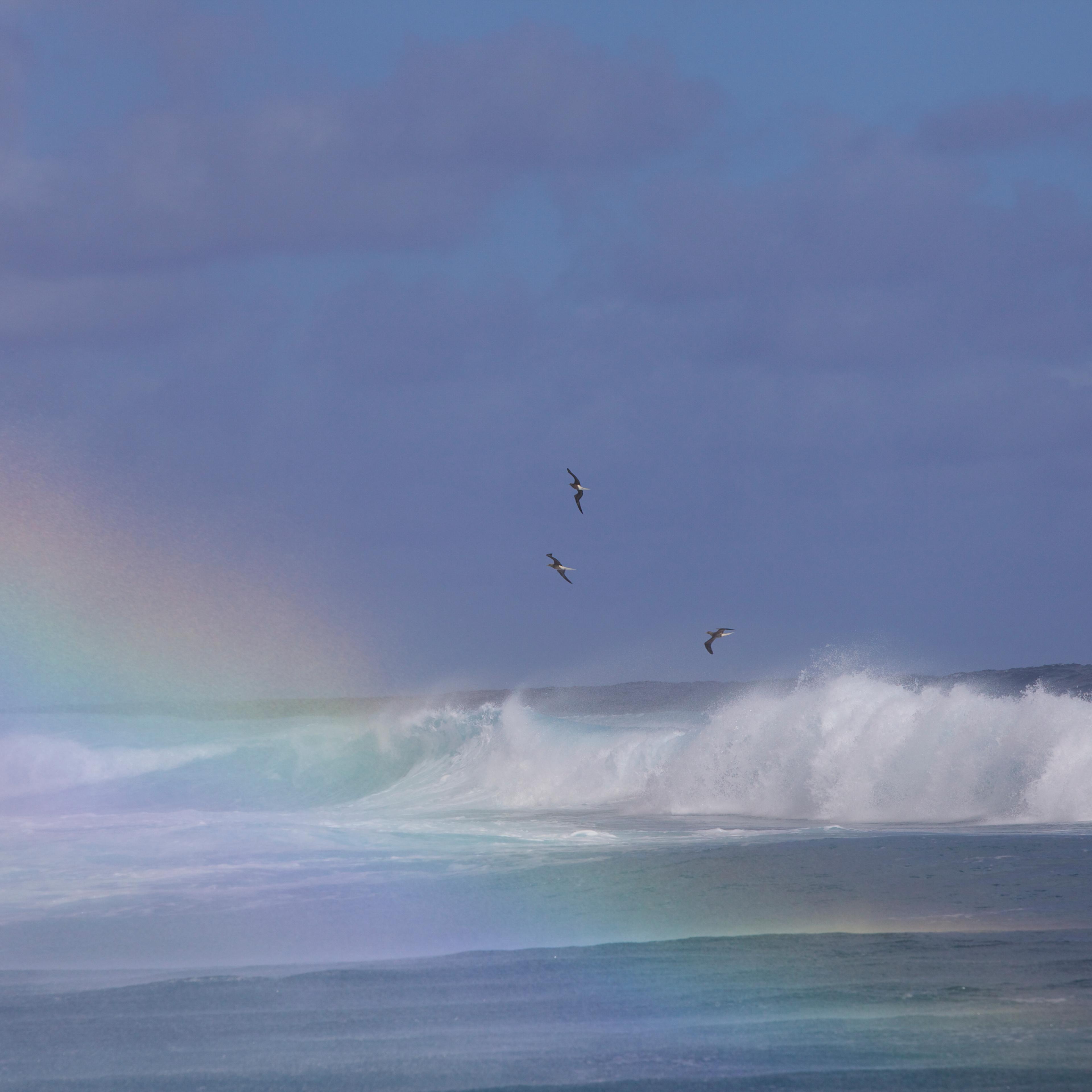 Rainbow Over Ocean Waves