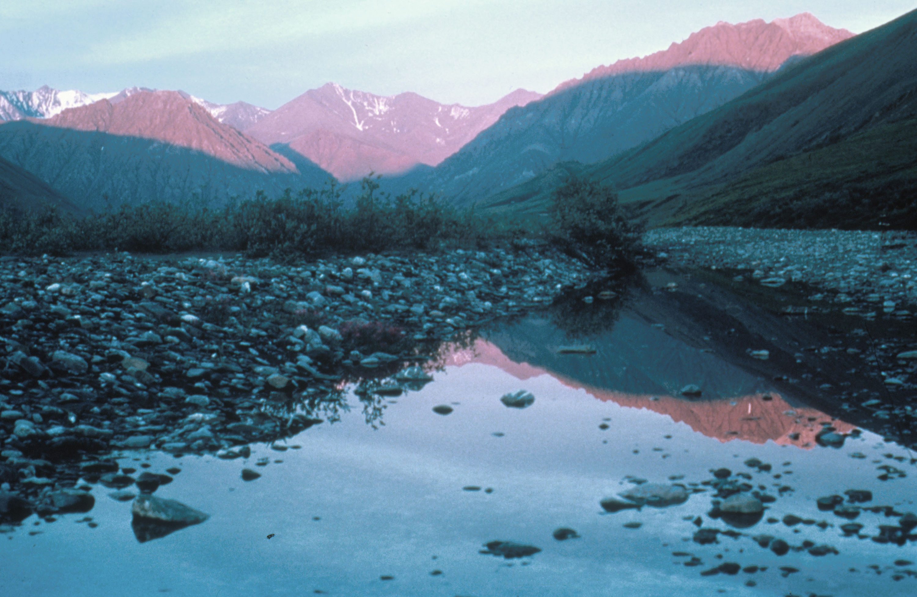 anwr oil drilling