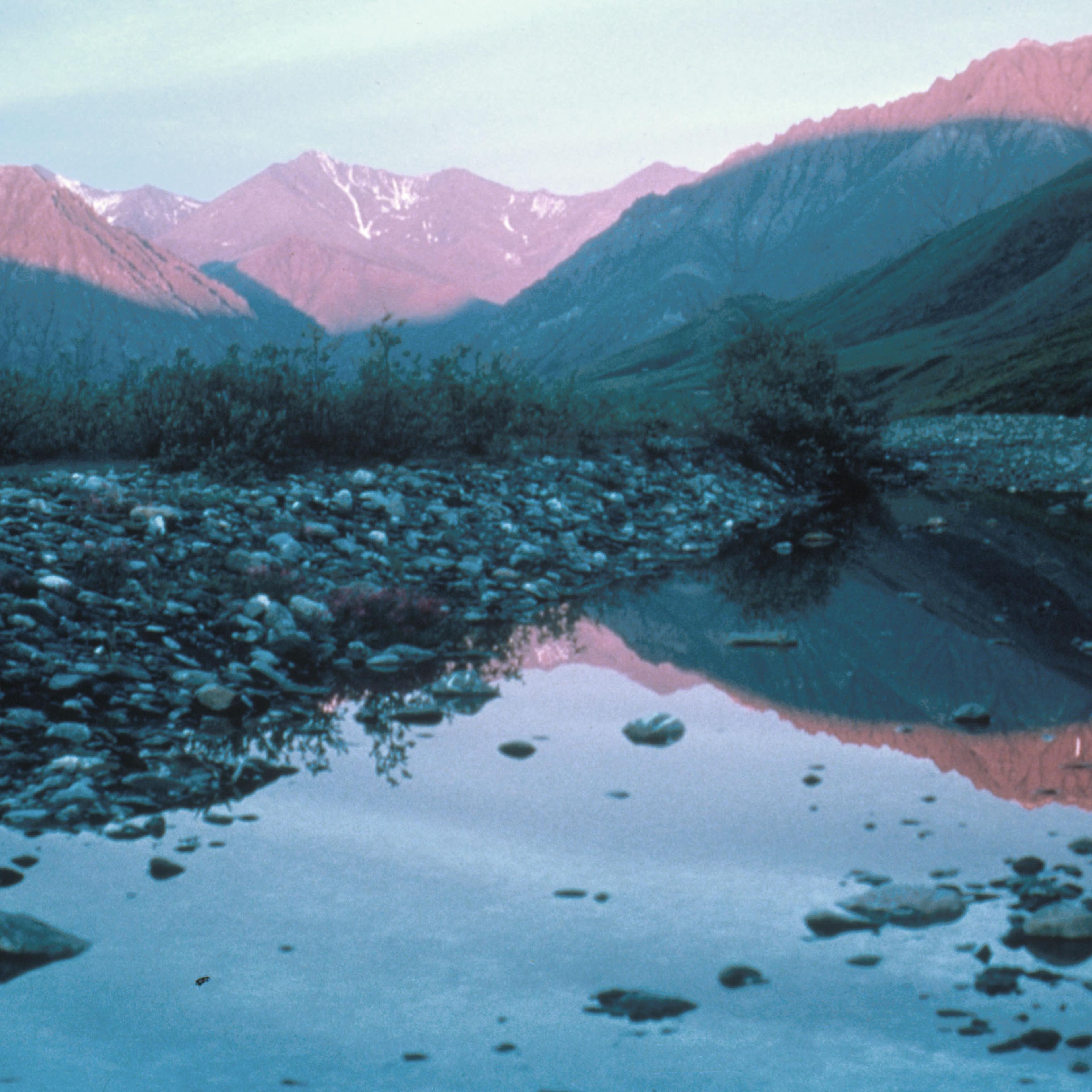 anwr oil drilling