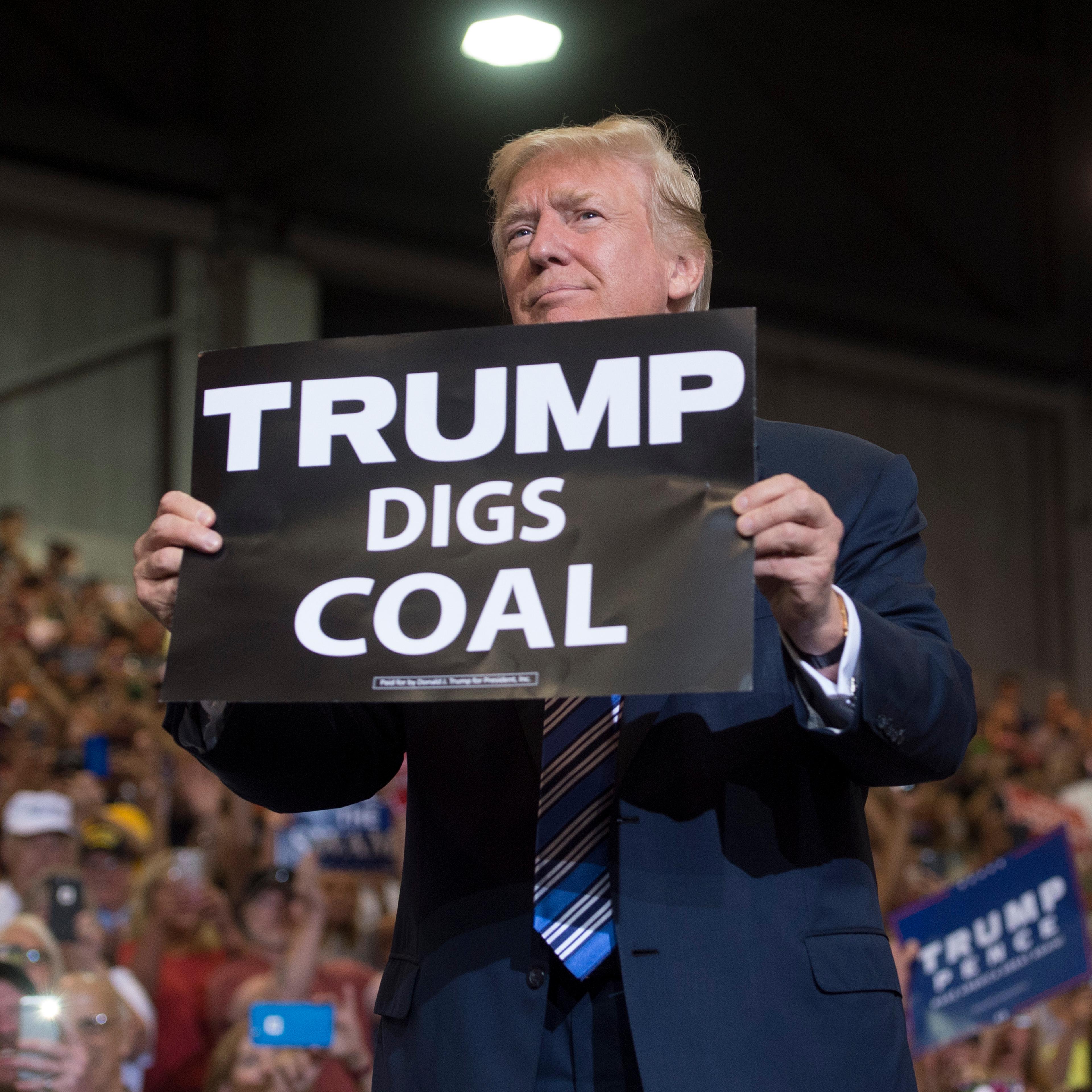 donald trump coal robert murray