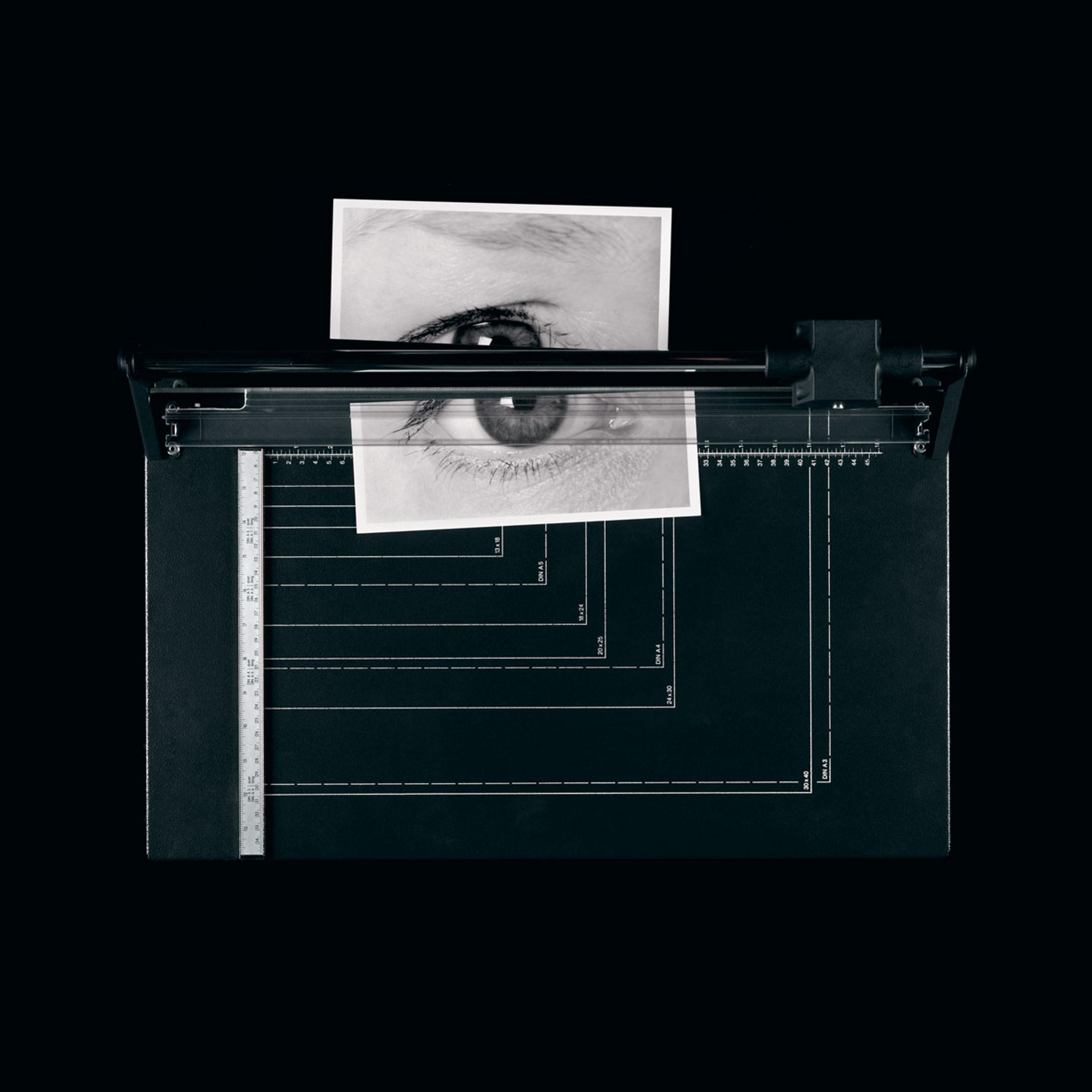 <em>Cut</em>, 2009