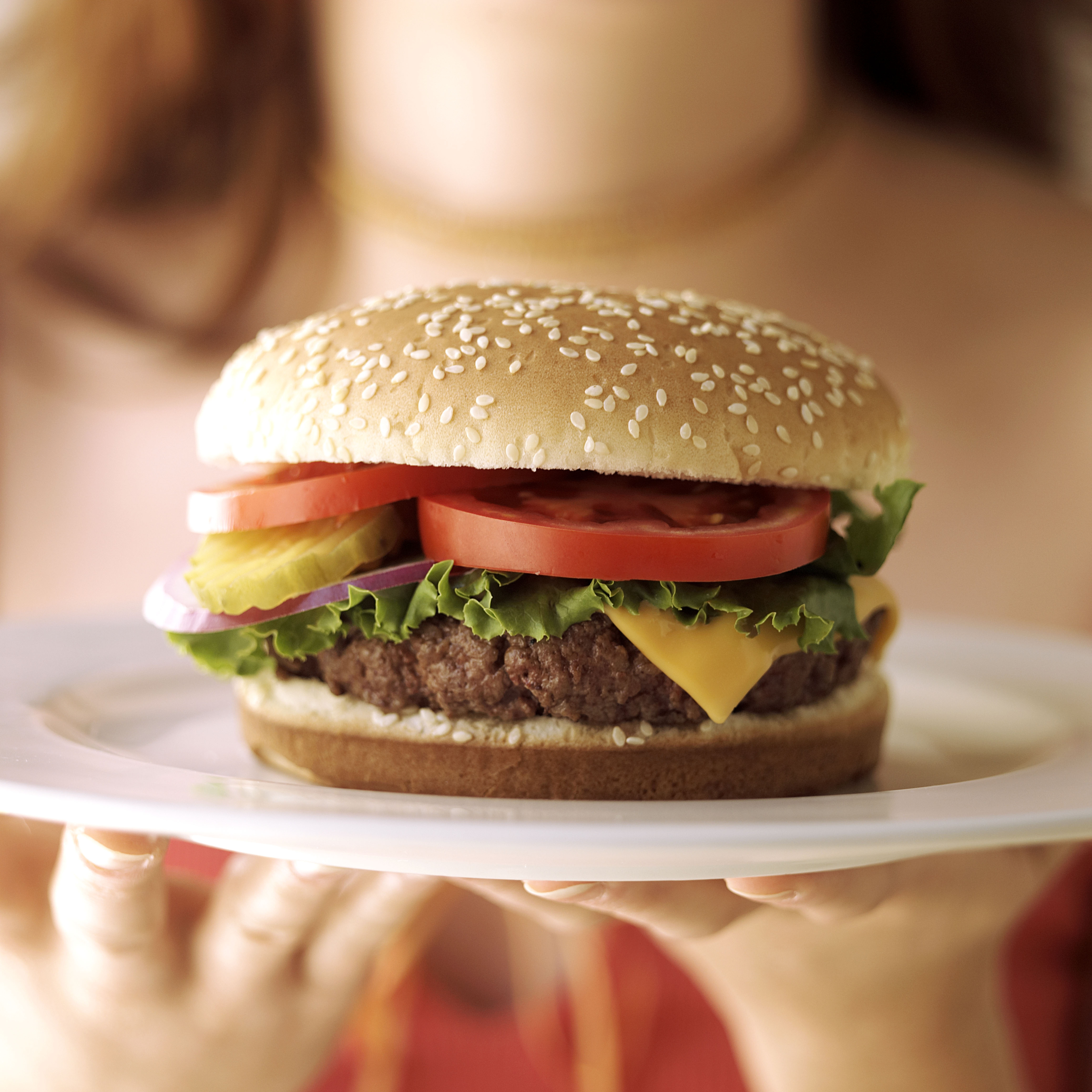 hamburger-plate