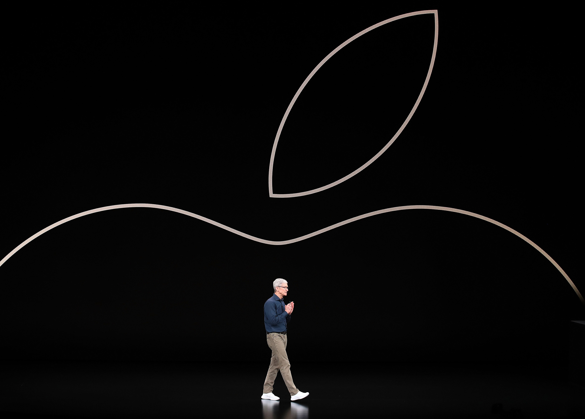 Tim Cook chief executive officer of Apple
