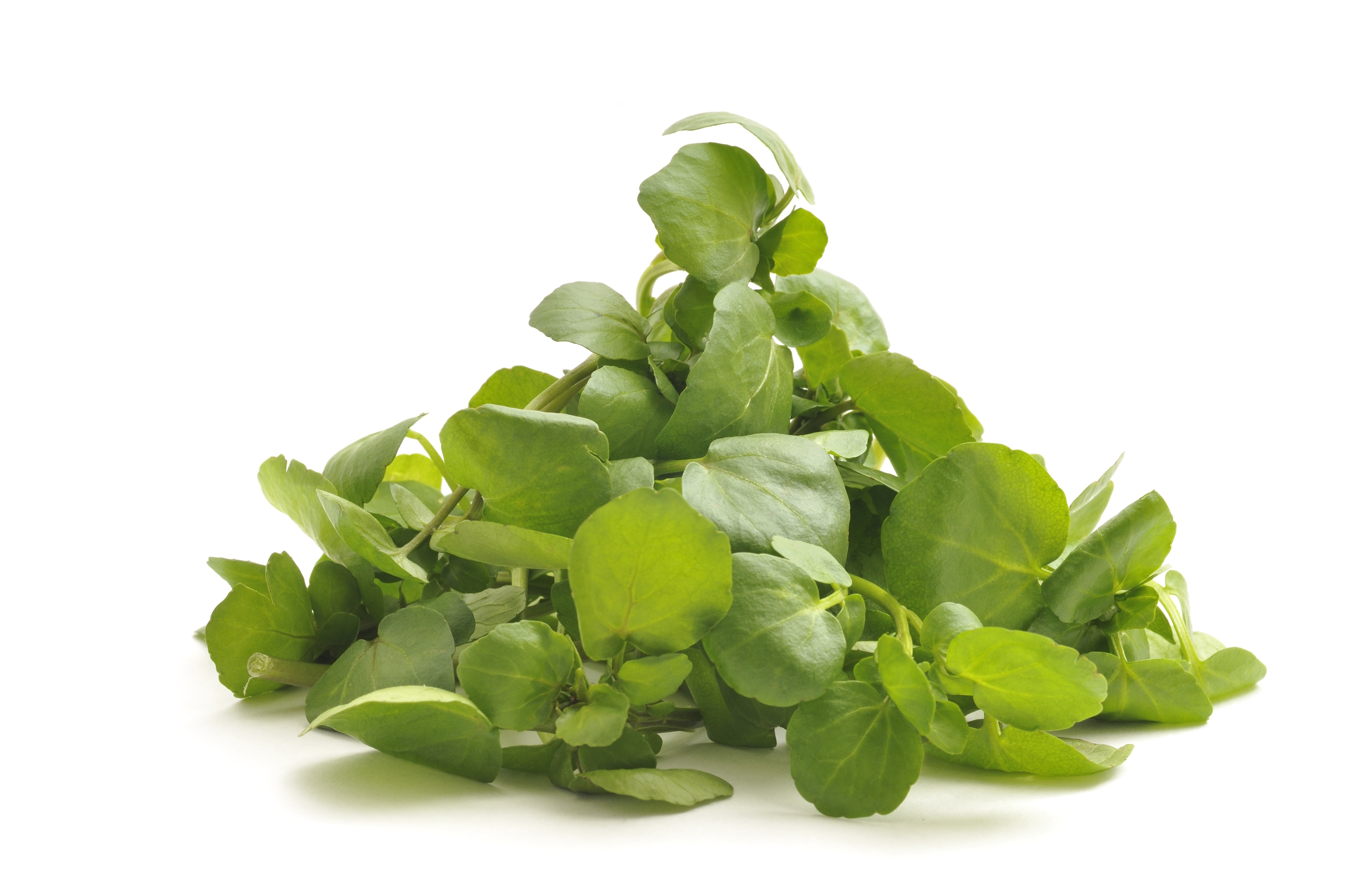 171350186